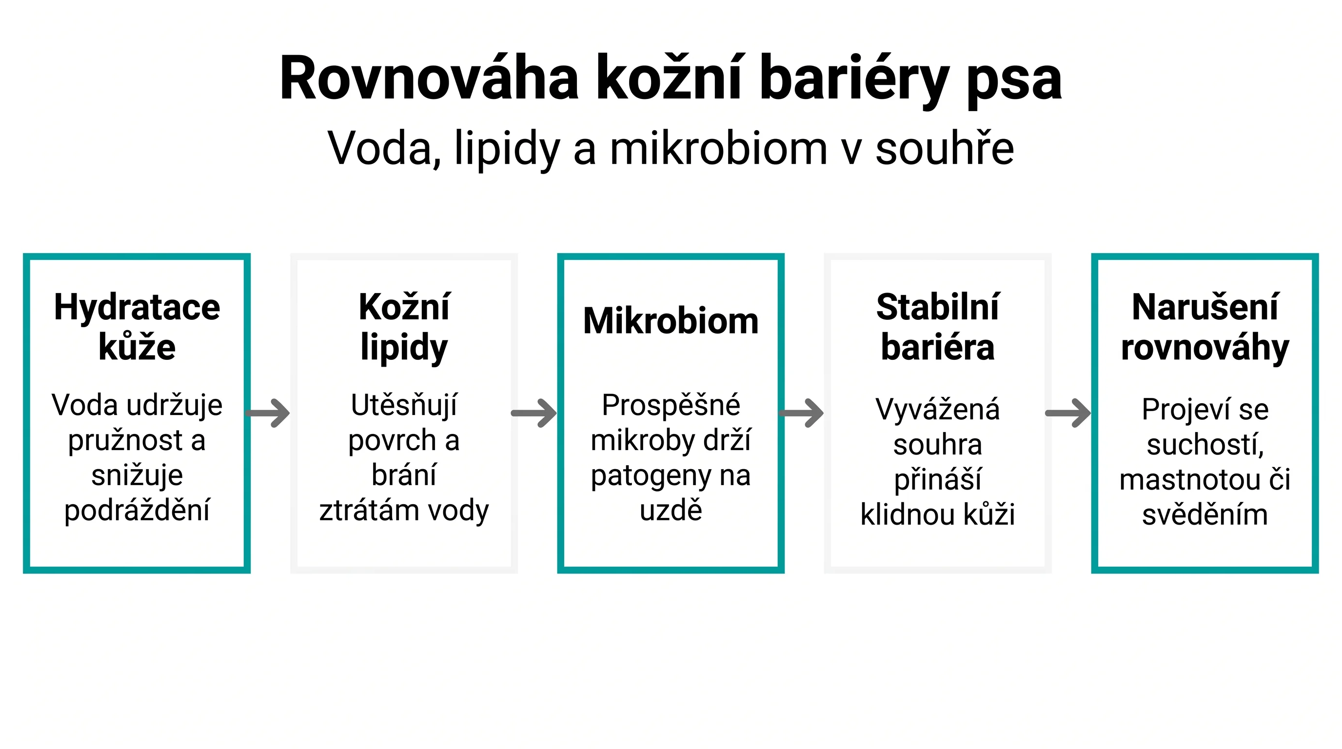 Rovnováha kožní bariéry psa