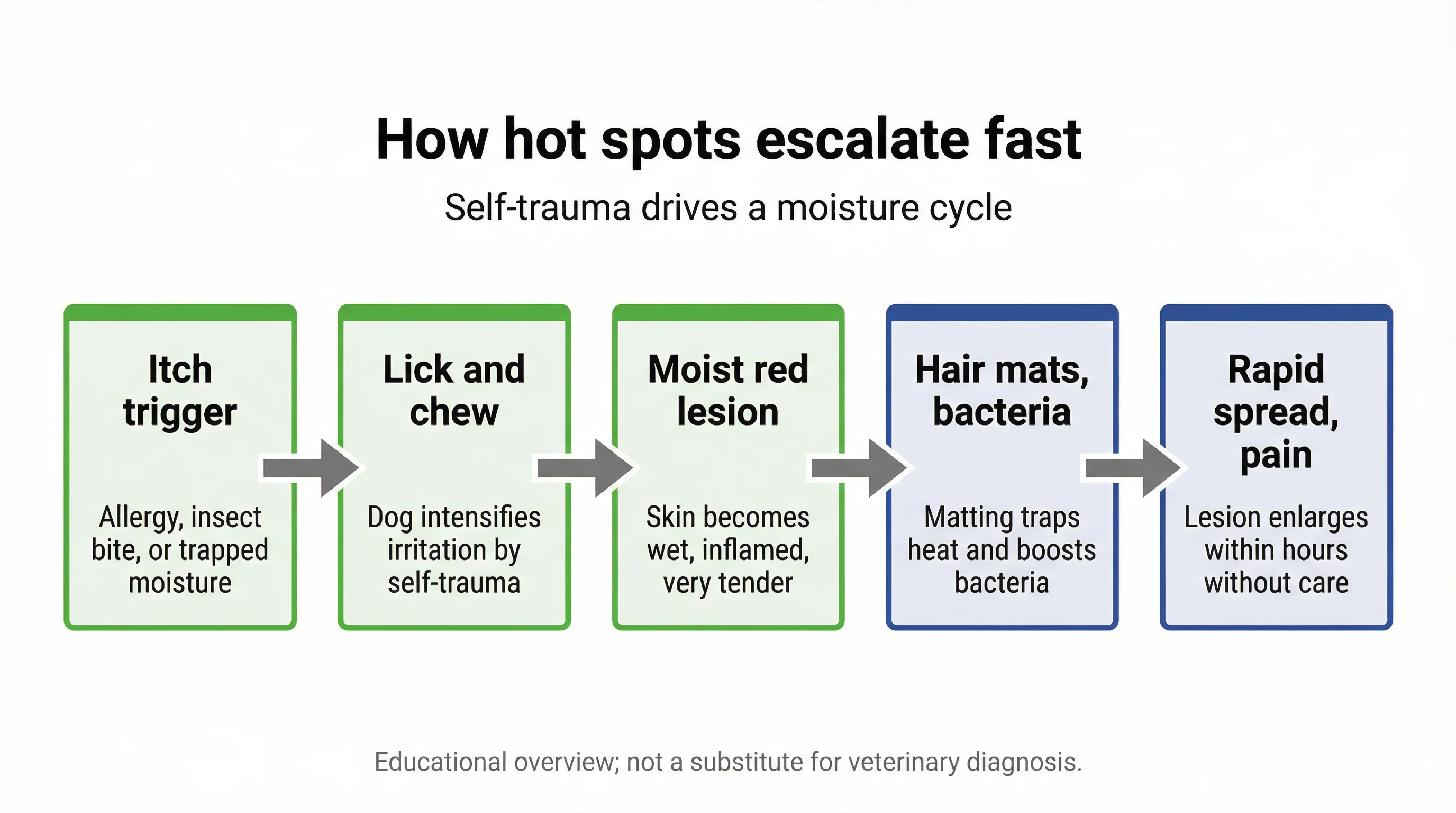 How hot spots escalate fast