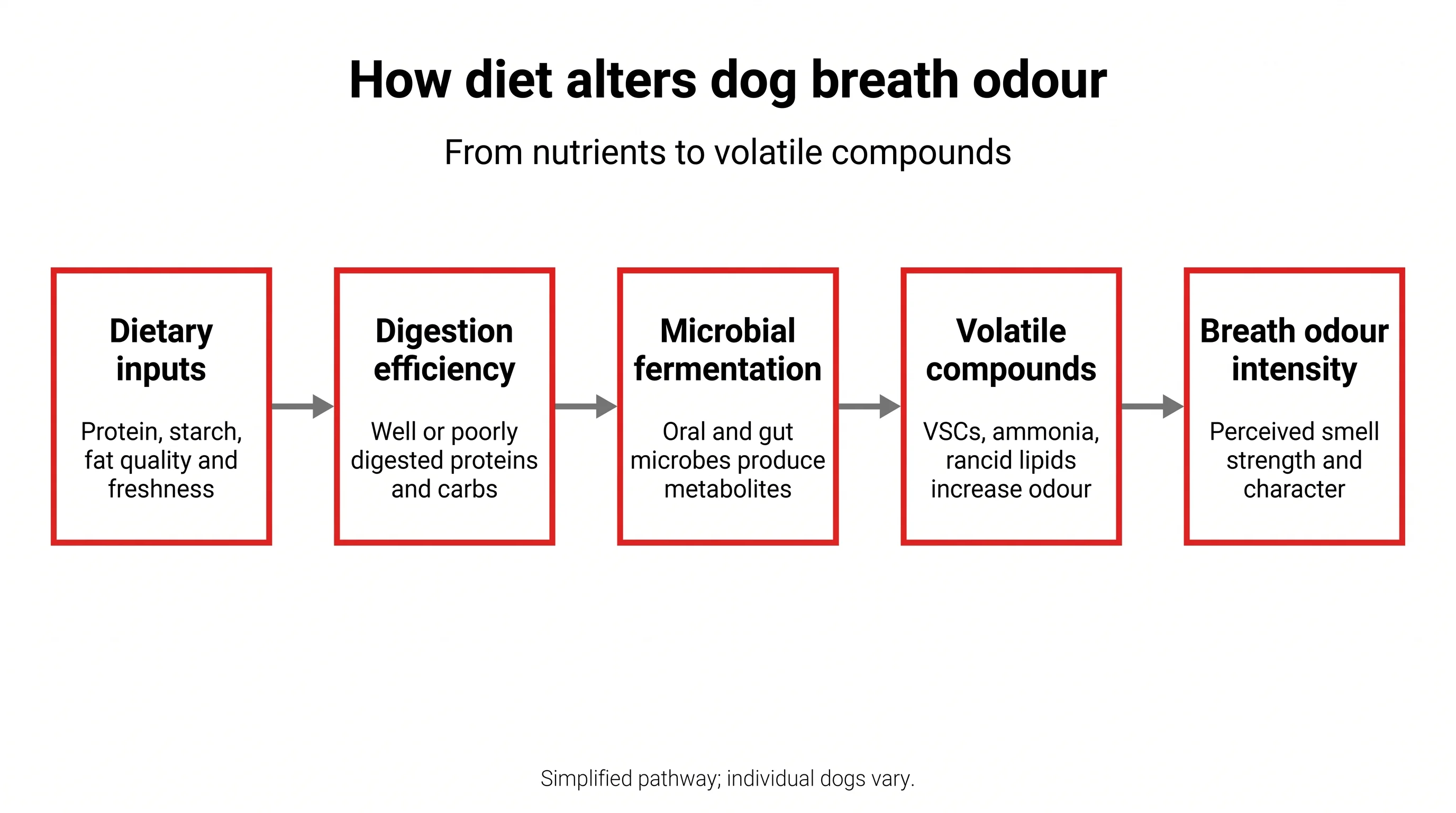 How diet alters dog breath odour