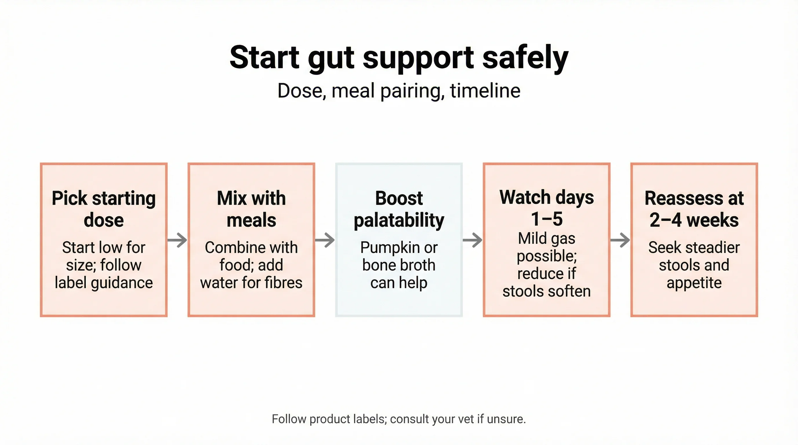 Start gut support safely