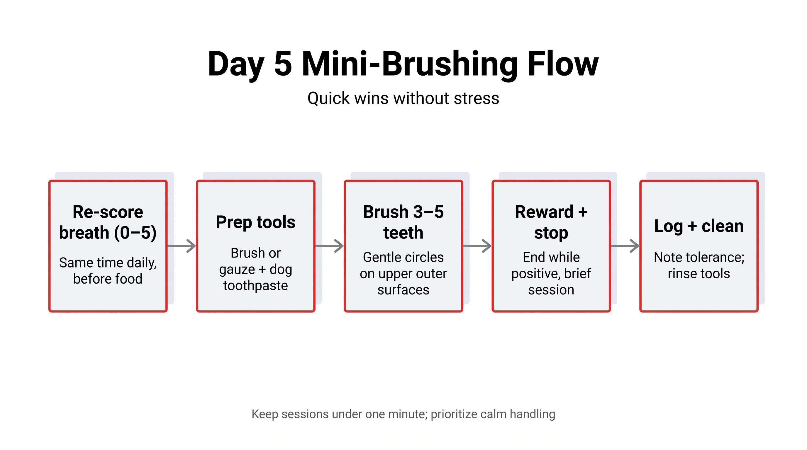 Day 5 Mini‑Brushing Flow