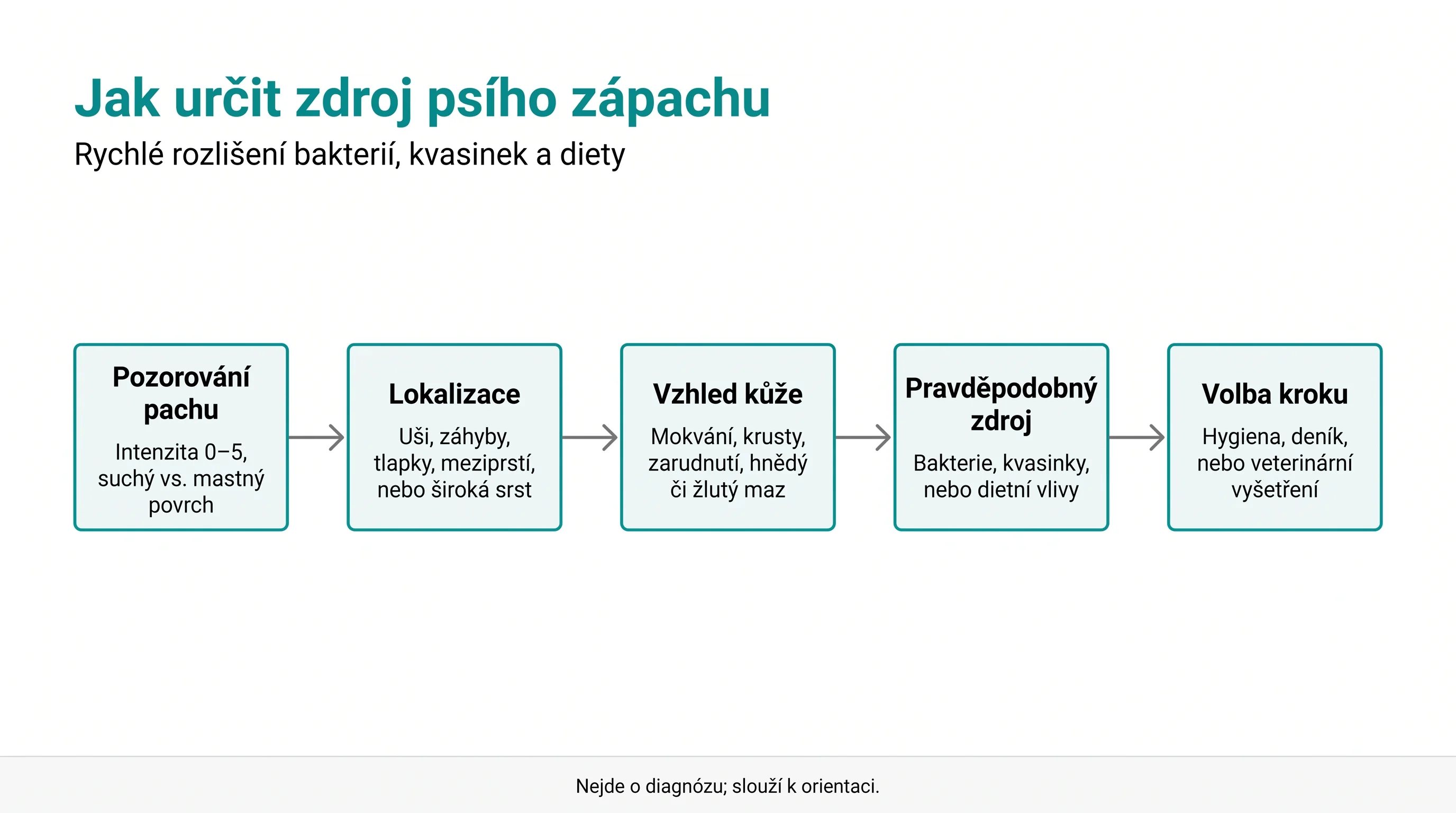 Jak určit zdroj psího zápachu