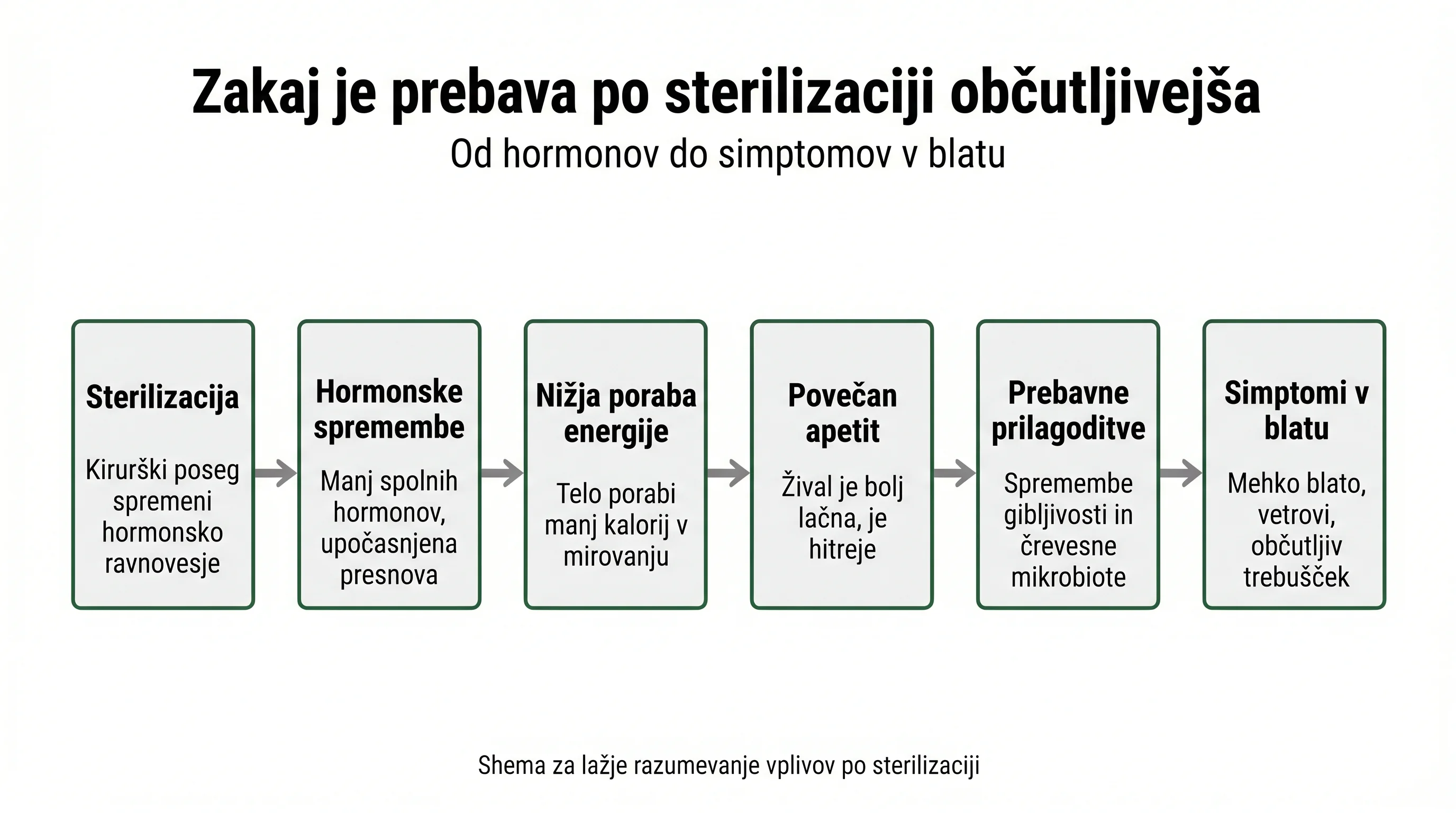 Zakaj je prebava po sterilizaciji občutljivejša
