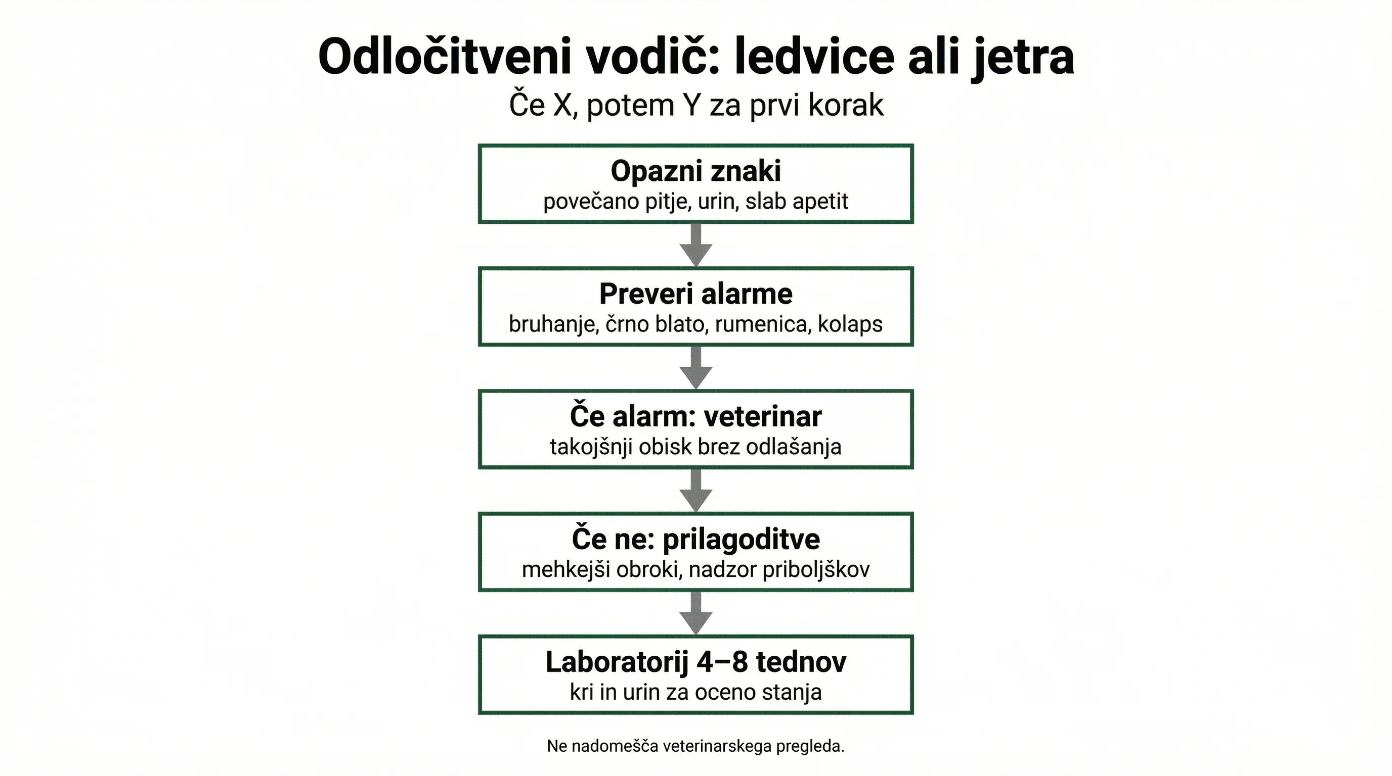 Odločitveni vodič: ledvice ali jetra