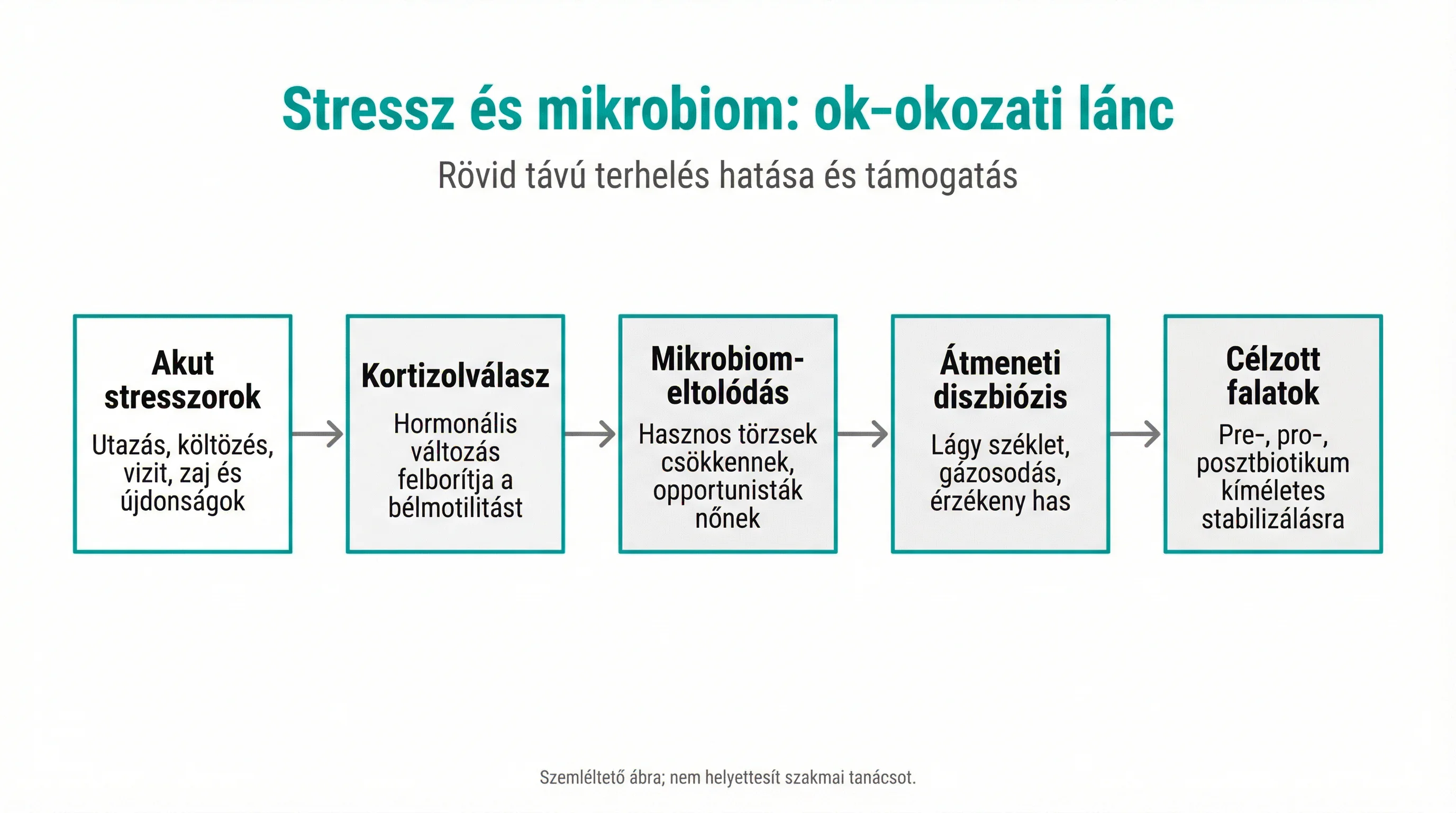 Stressz és mikrobiom: ok‑okozati lánc