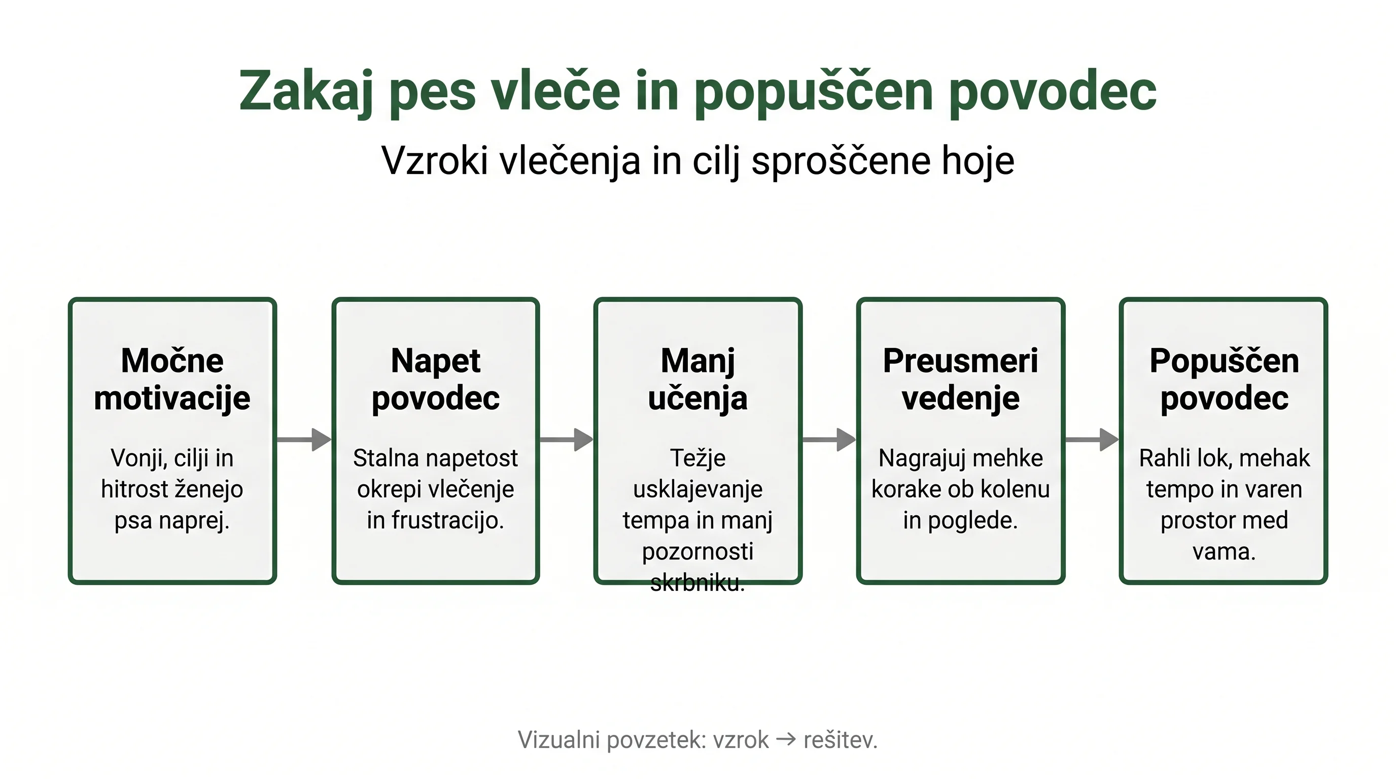 Zakaj pes vleče in popuščen povodec