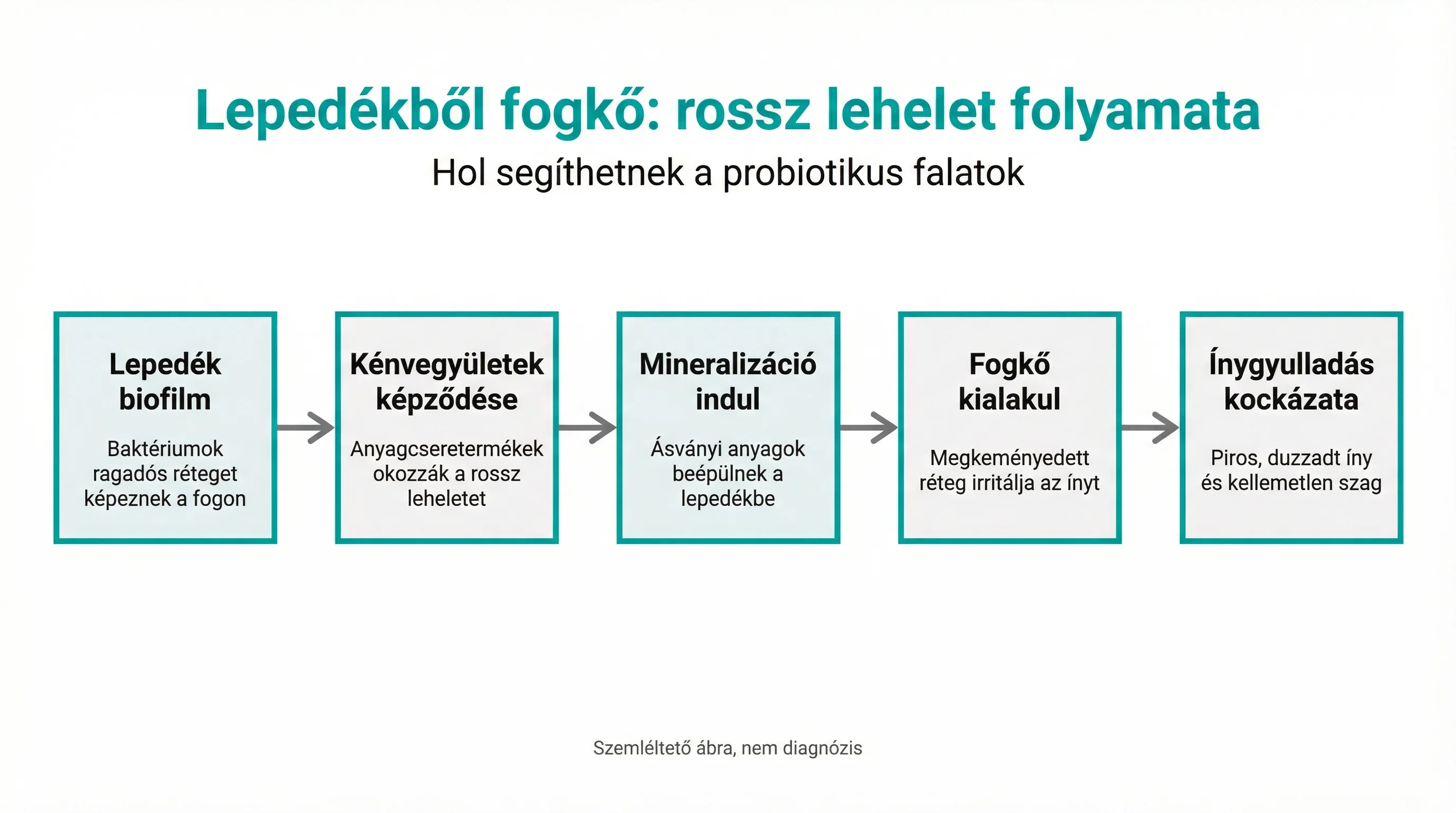 Lepedékből fogkő: rossz lehelet folyamata