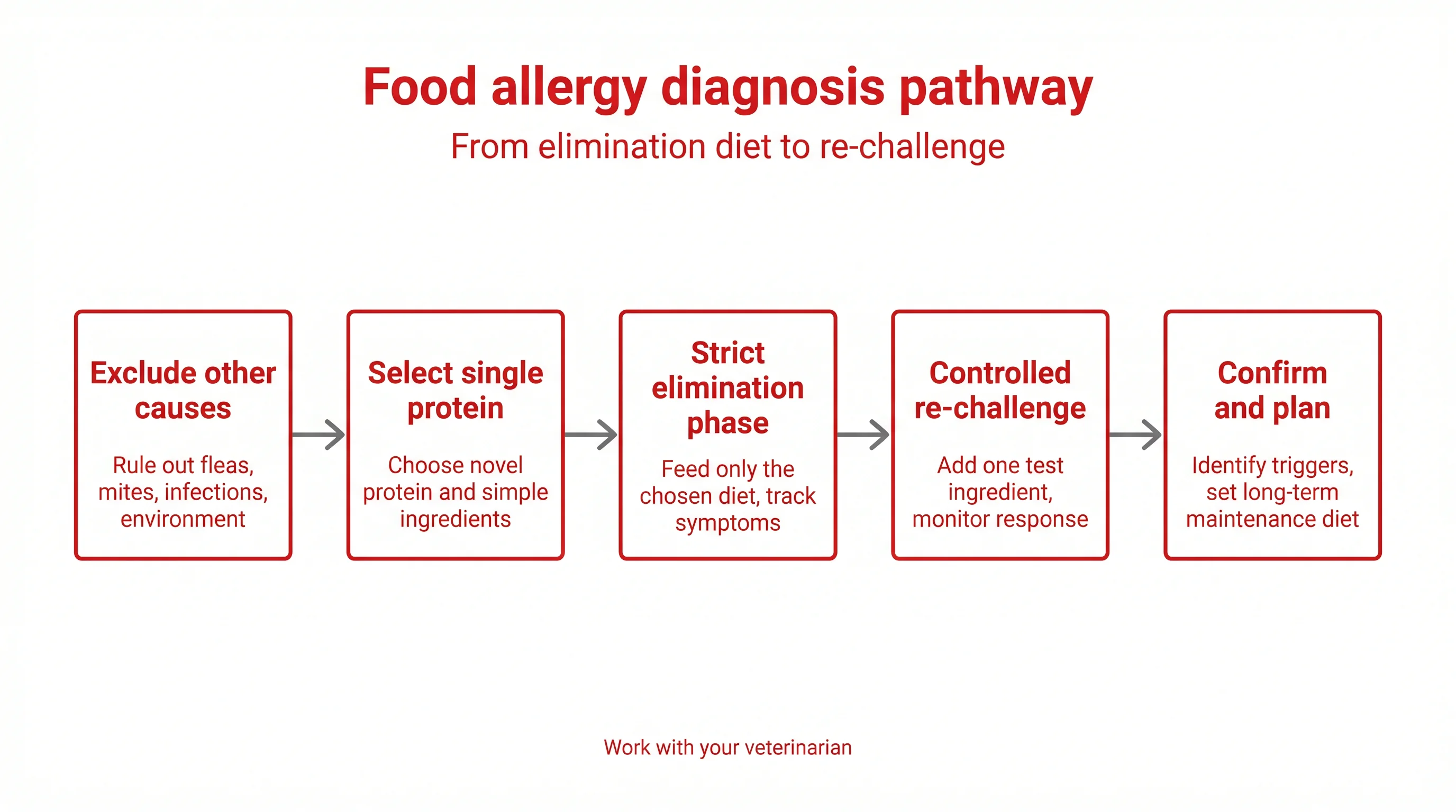 Food allergy diagnosis pathway