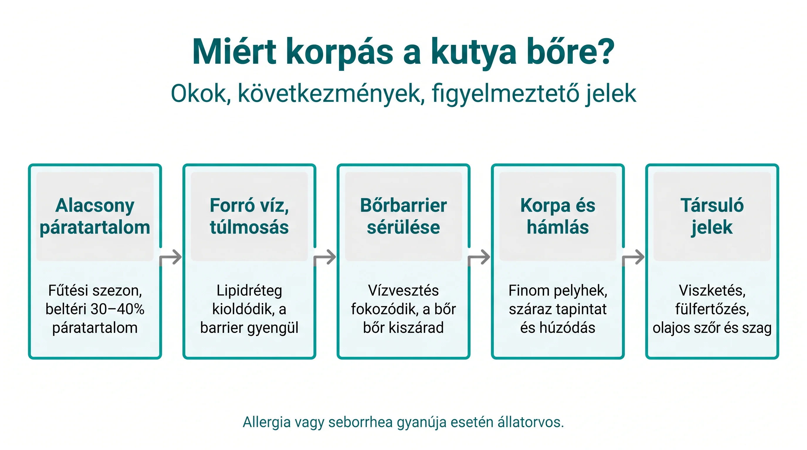 Miért korpás a kutya bőre?