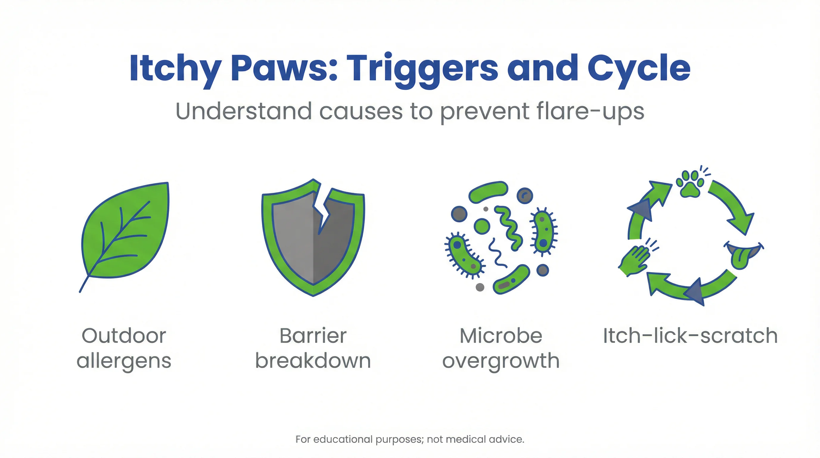 Itchy Paws: Triggers and Cycle