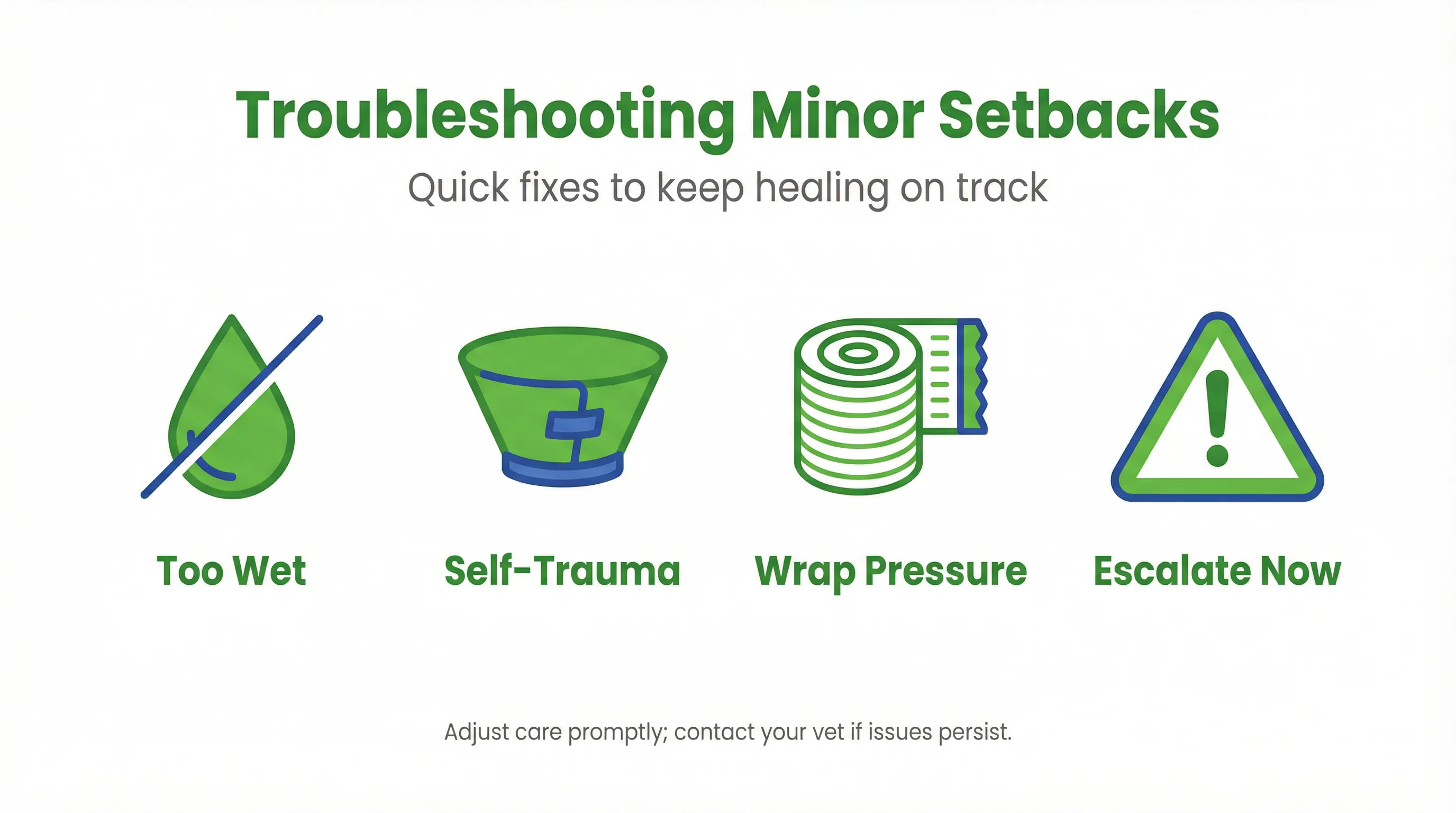 Troubleshooting Minor Setbacks