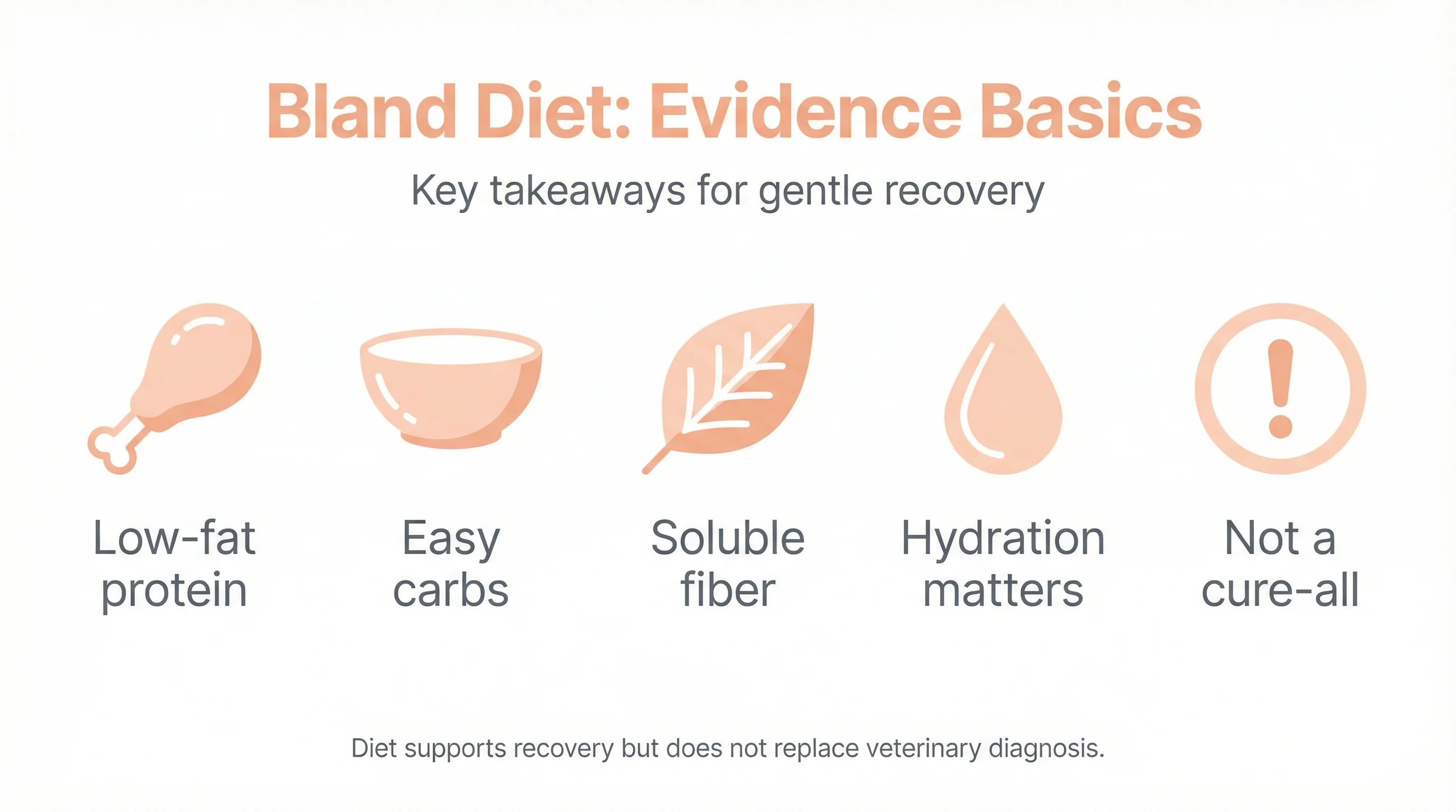 Bland Diet: Evidence Basics