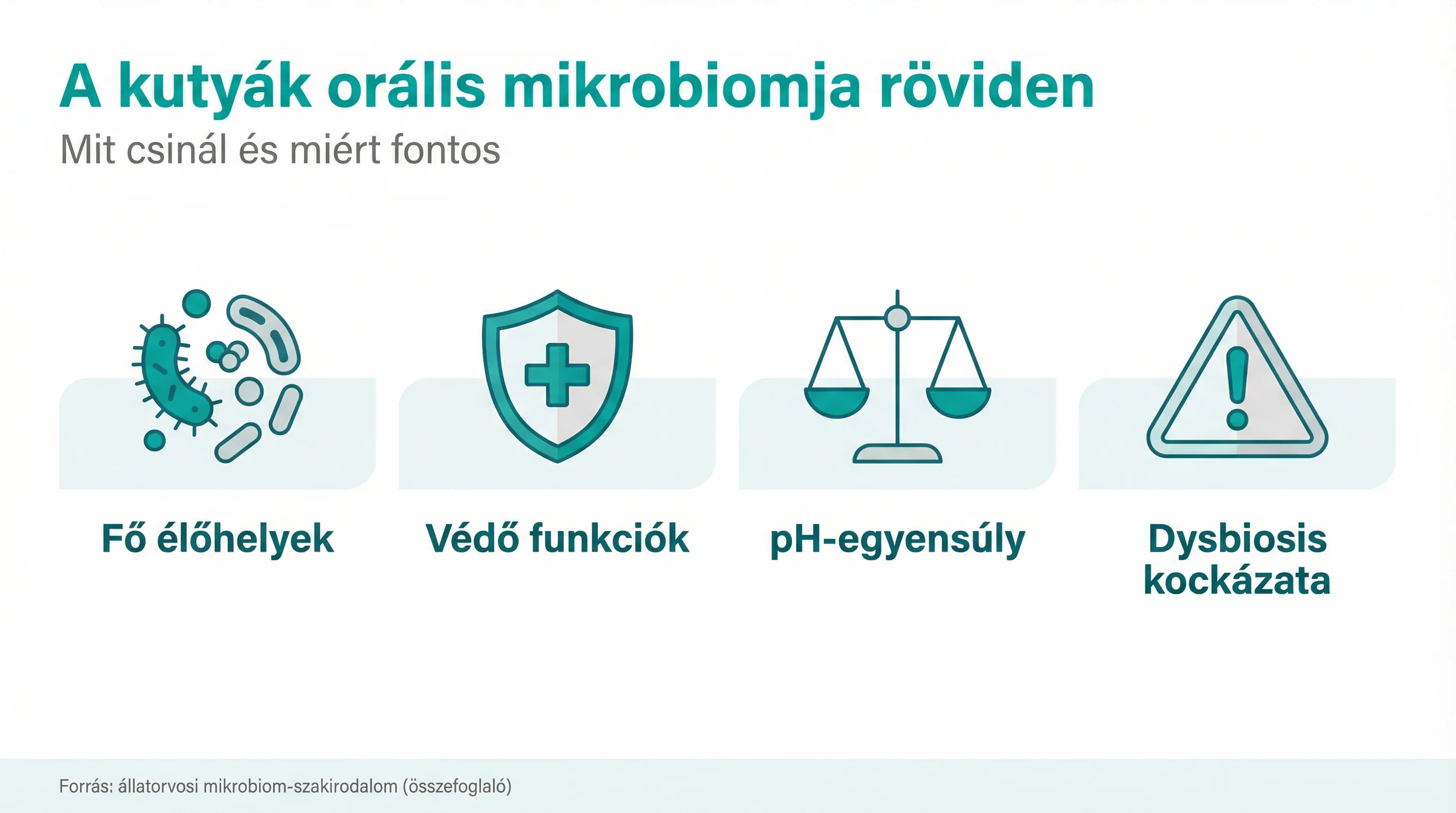 A kutyák orális mikrobiomja röviden