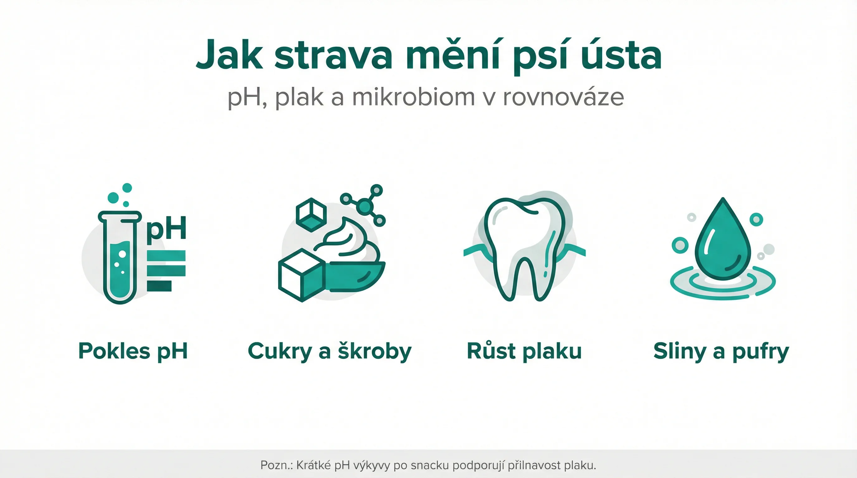 Jak strava mění psí ústa