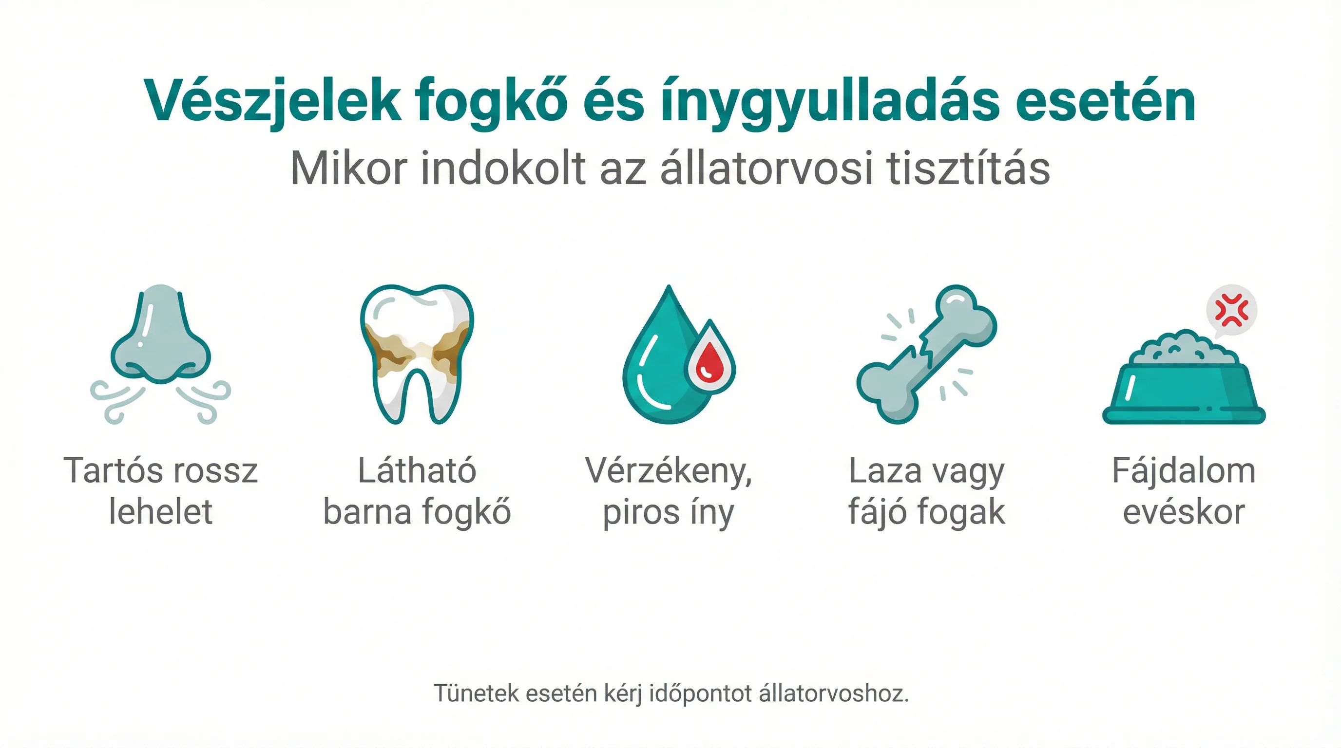 Vészjelek fogkő és ínygyulladás esetén