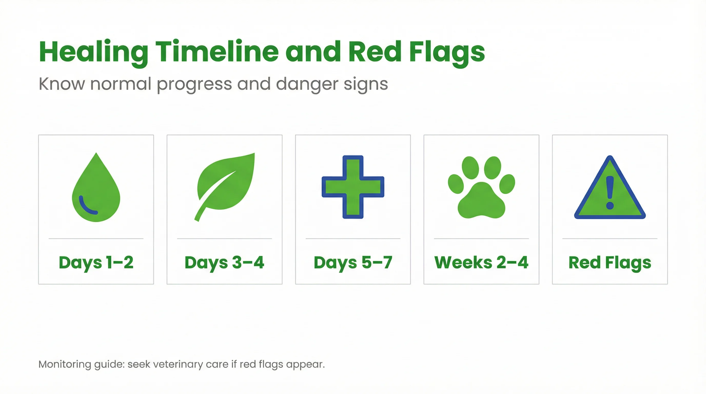 Healing Timeline and Red Flags
