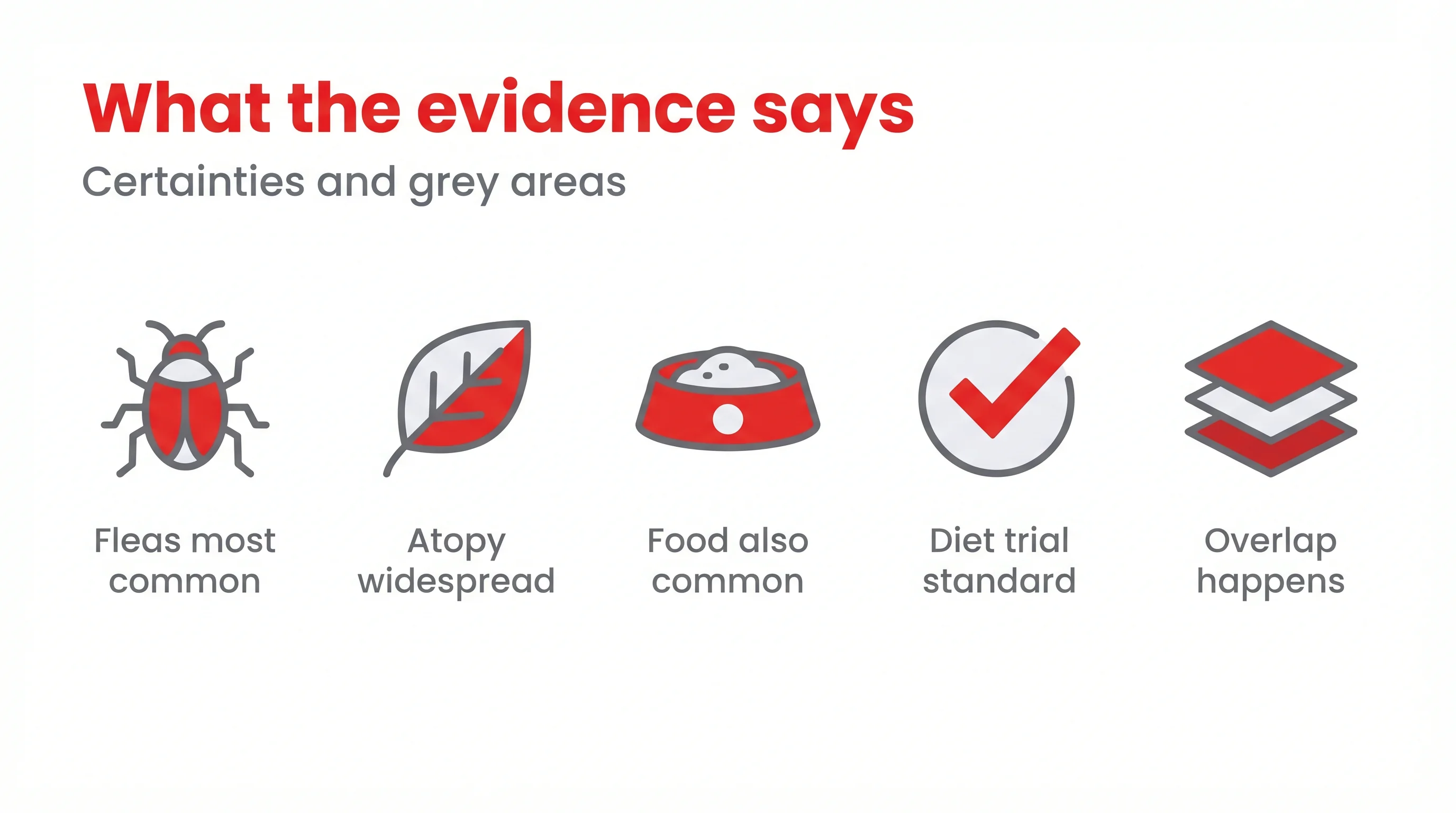 What the evidence says
