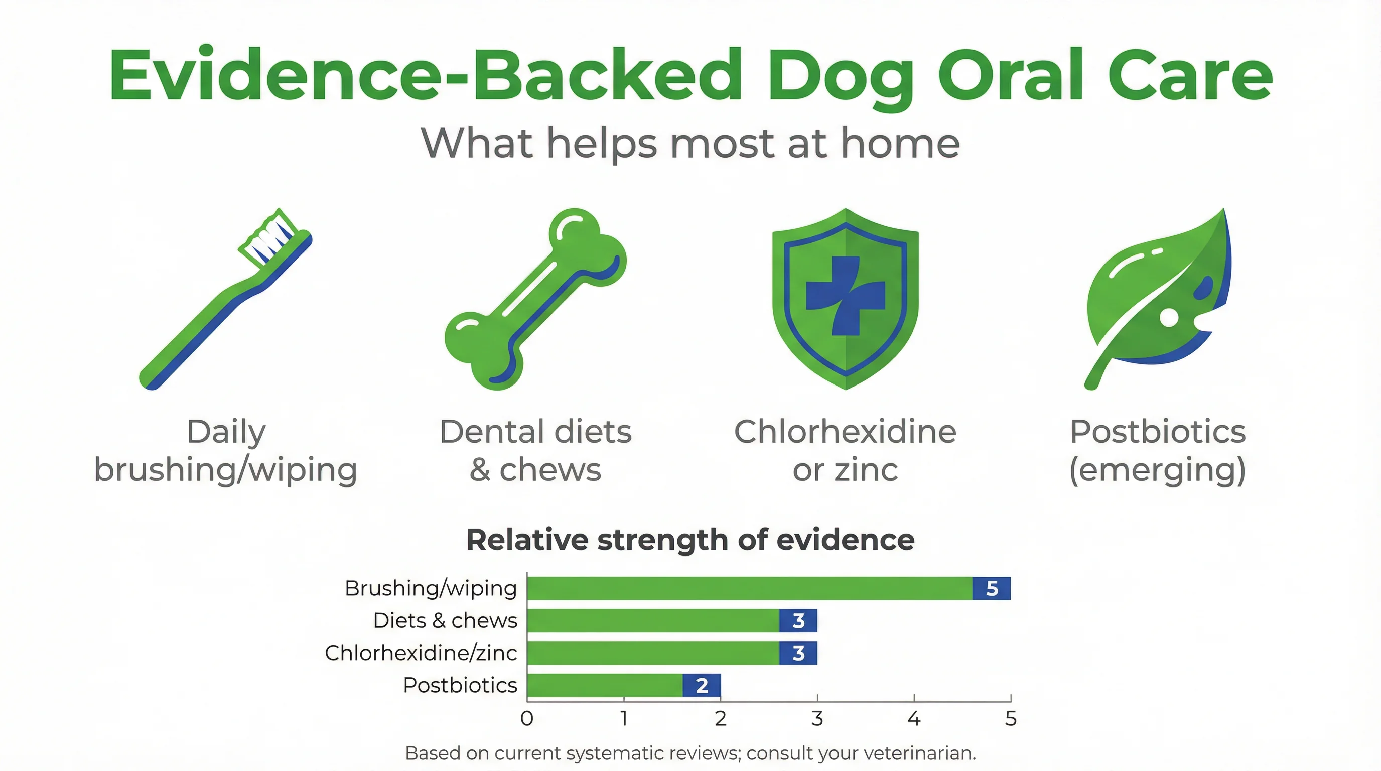 Evidence-Backed Dog Oral Care