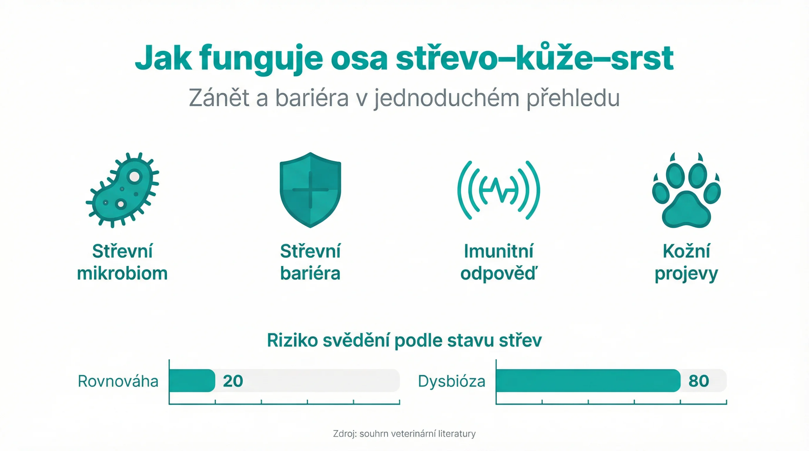 Jak funguje osa střevo–kůže–srst