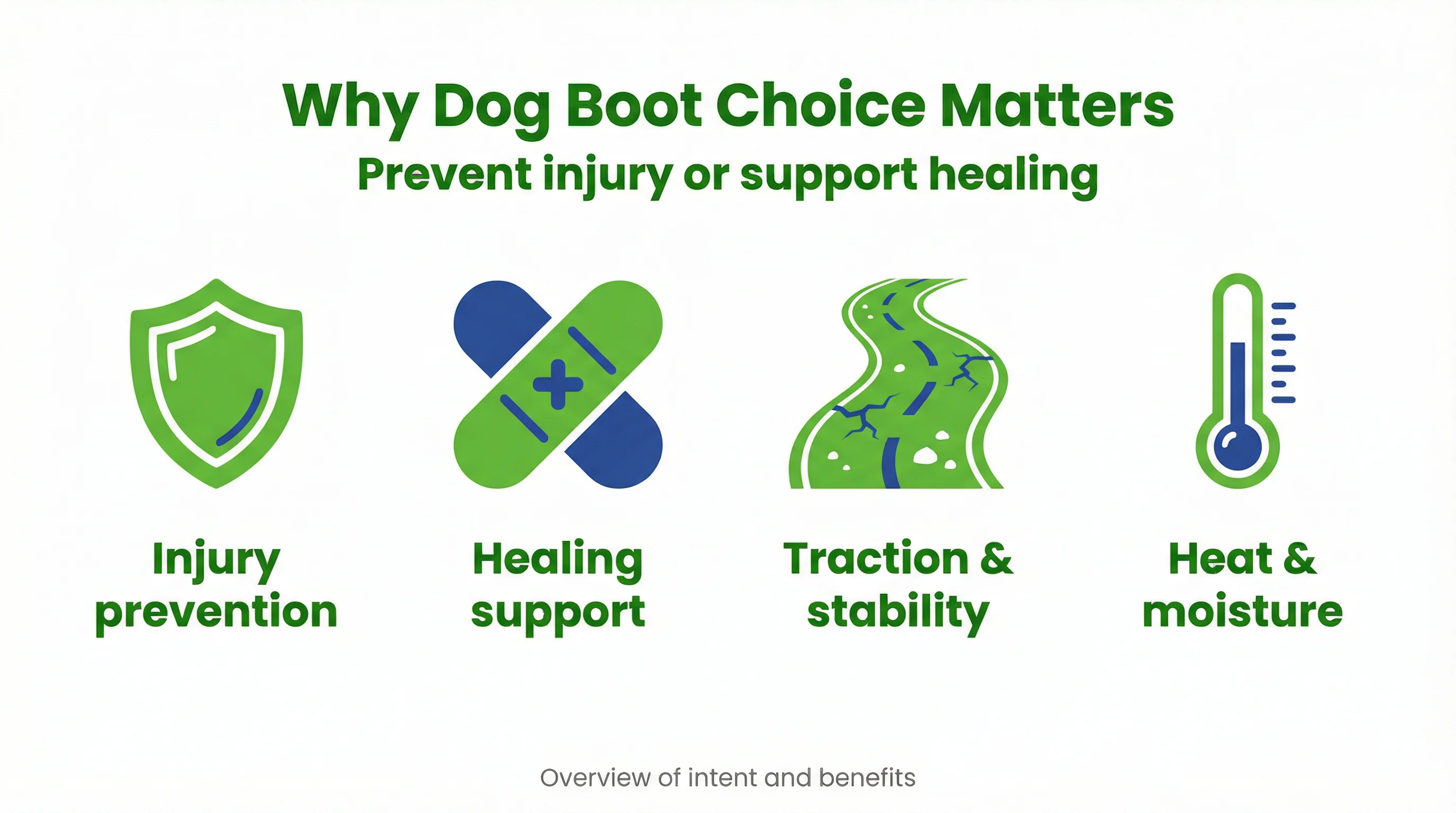 Why Dog Boot Choice Matters