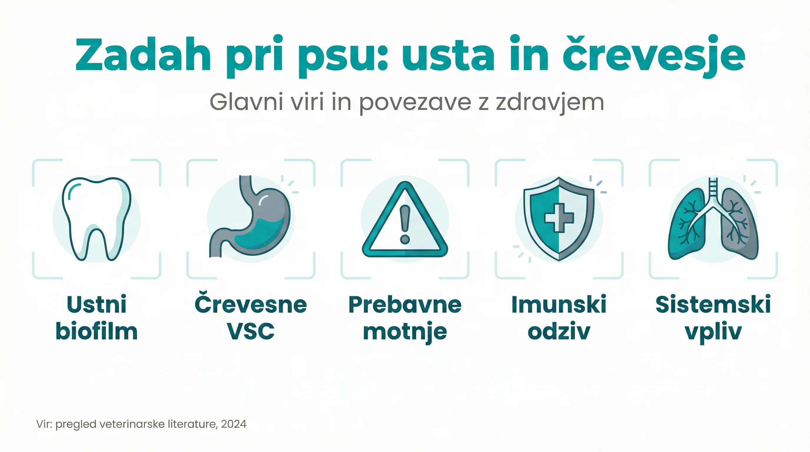 Zadah pri psu: usta in črevesje