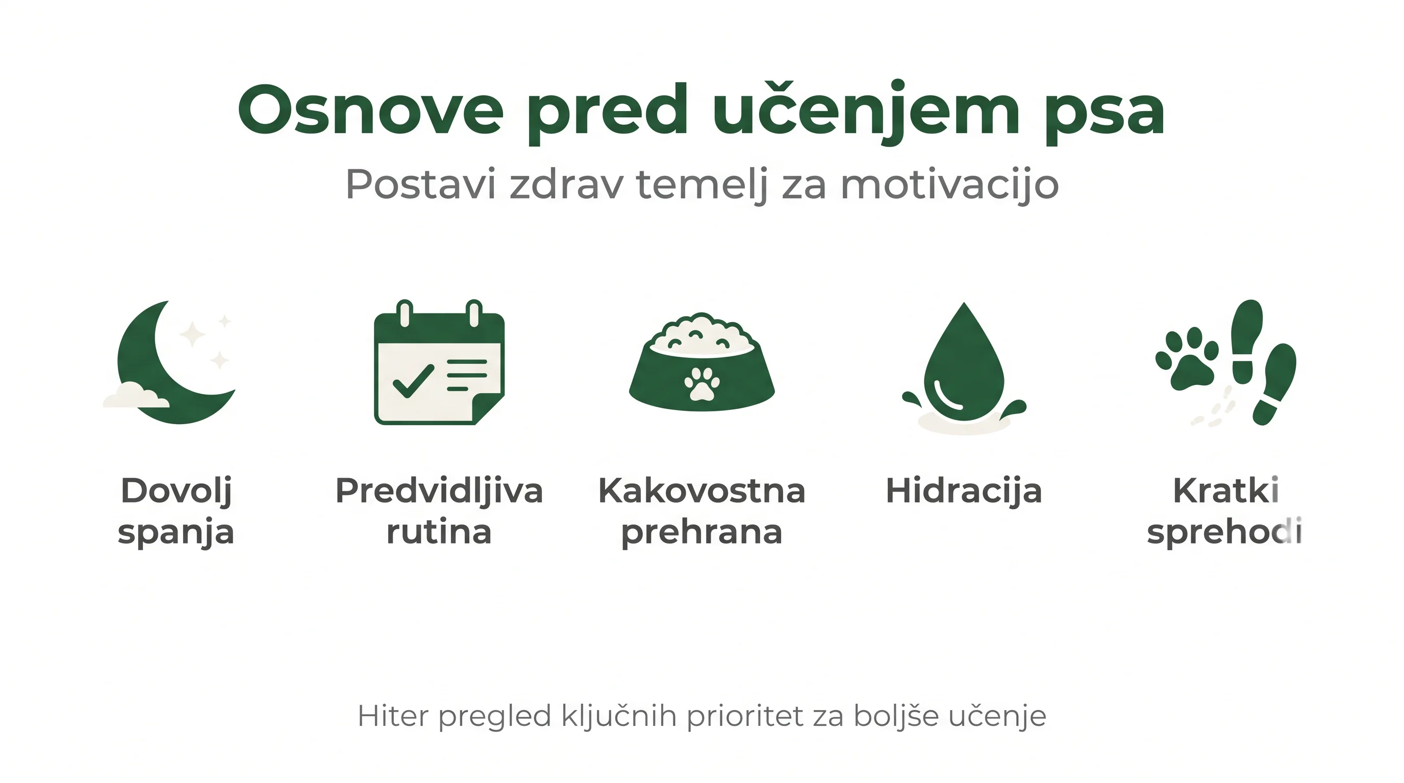 Osnove pred učenjem psa