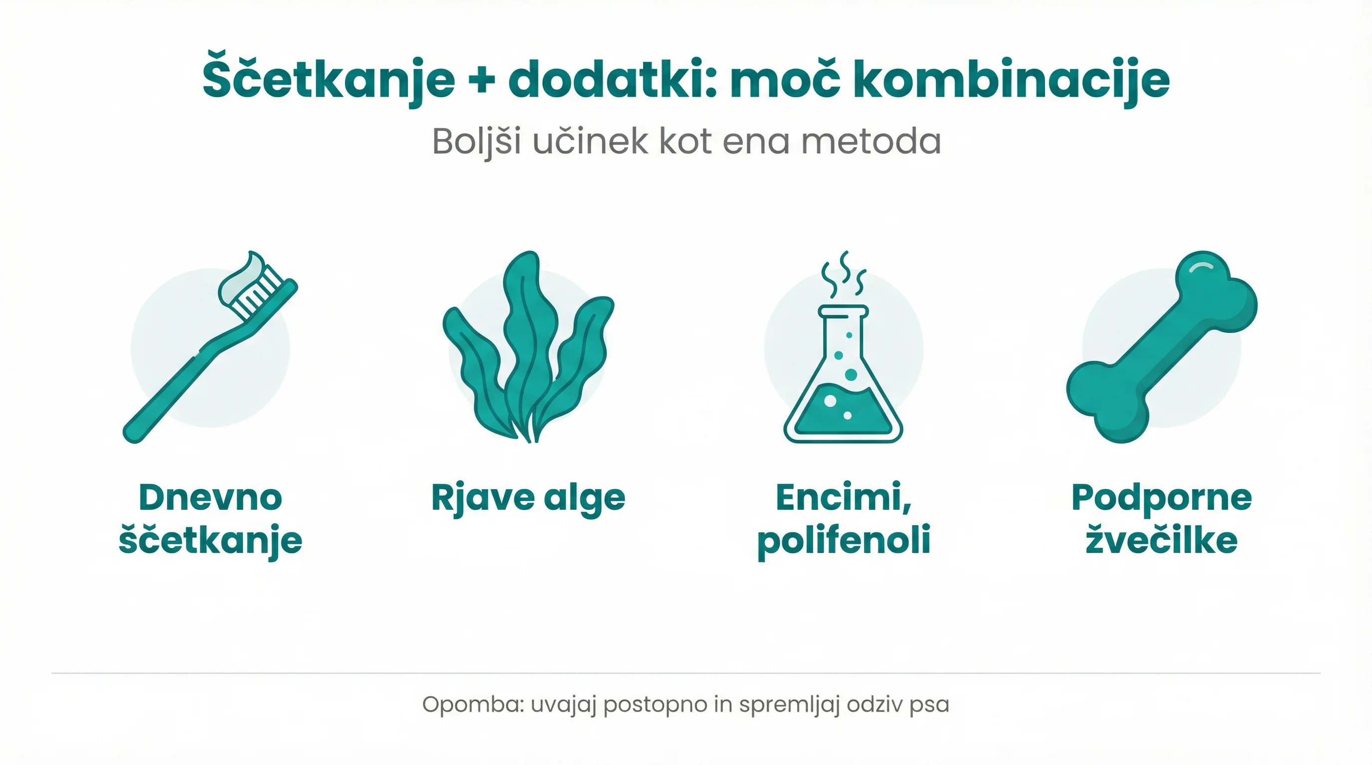 Ščetkanje + dodatki: moč kombinacije