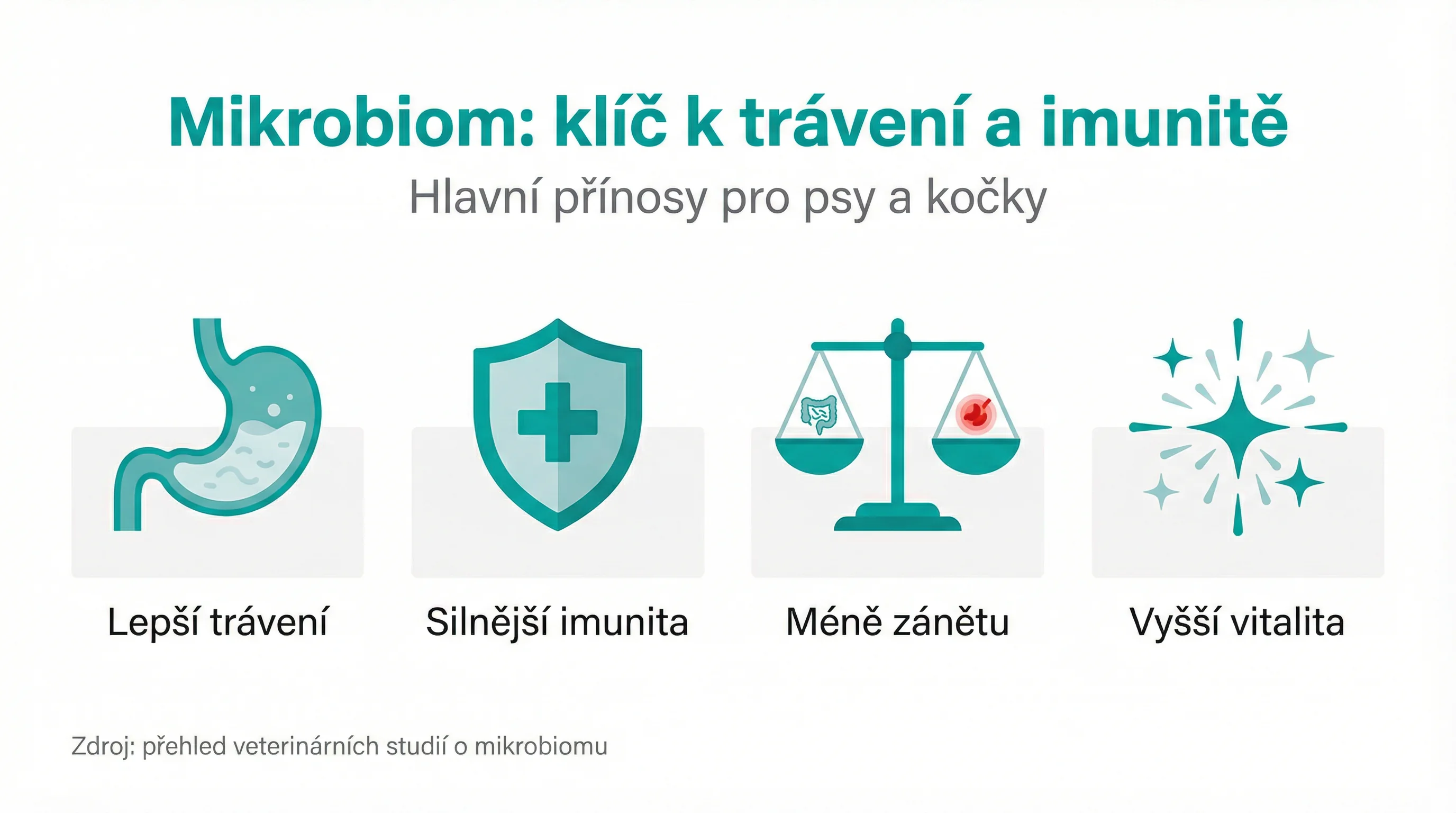 Mikrobiom: klíč k trávení a imunitě
