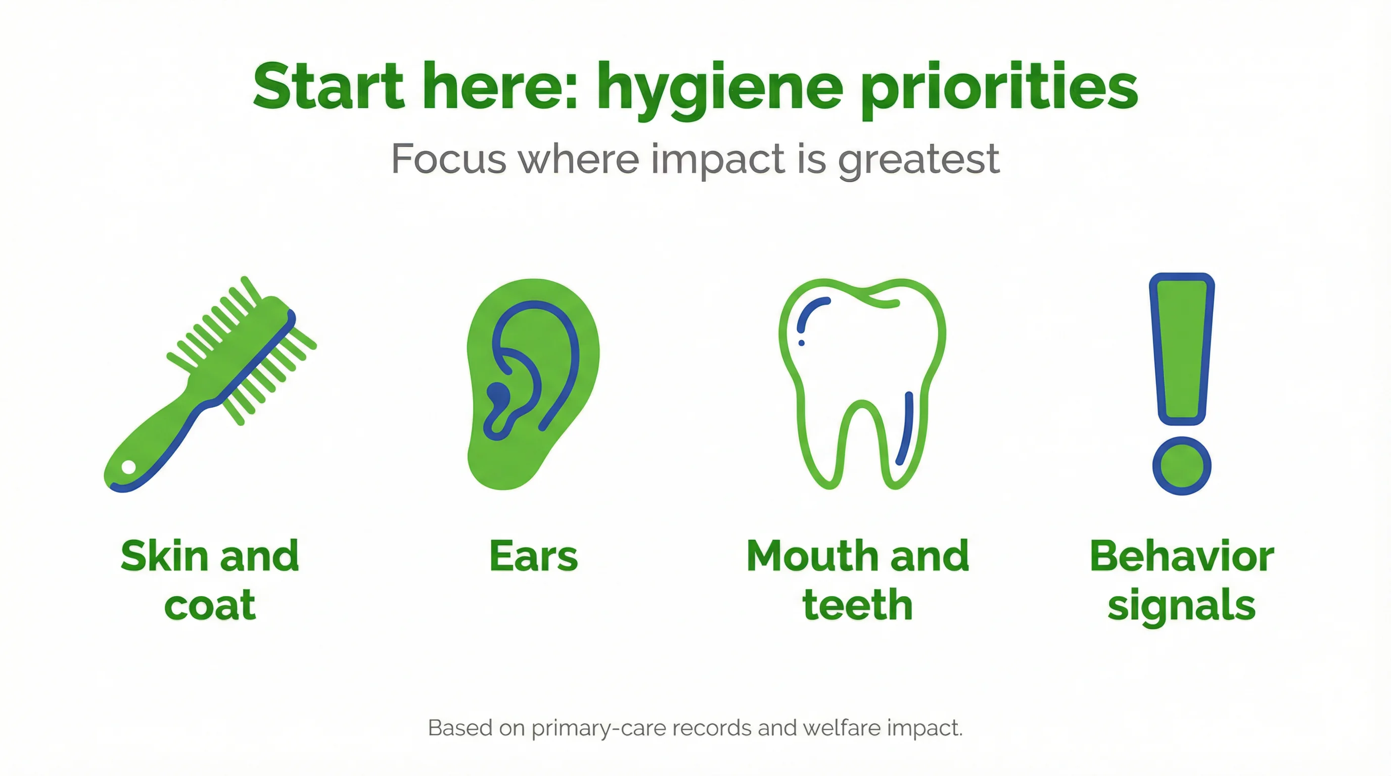 Start here: hygiene priorities
