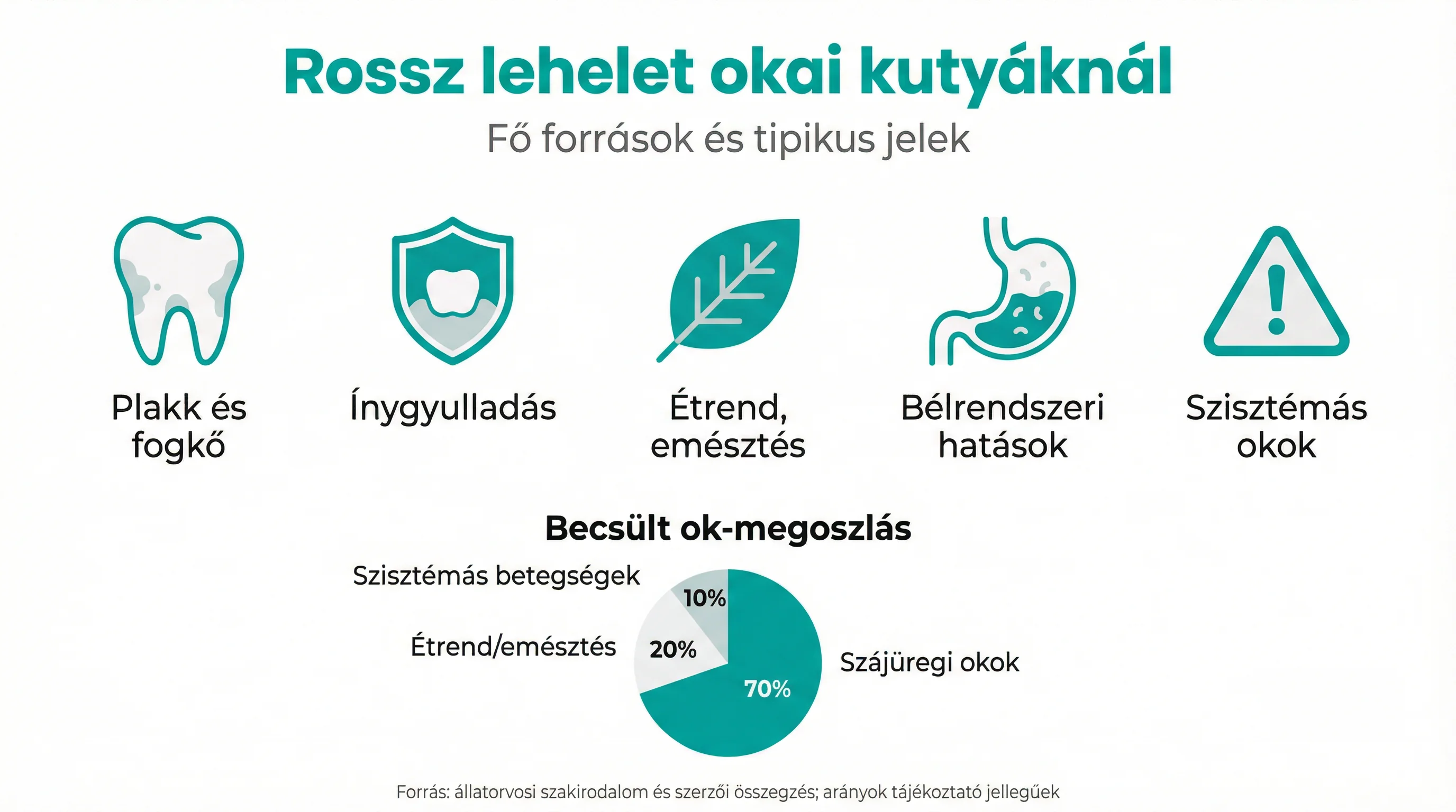 Rossz lehelet okai kutyáknál