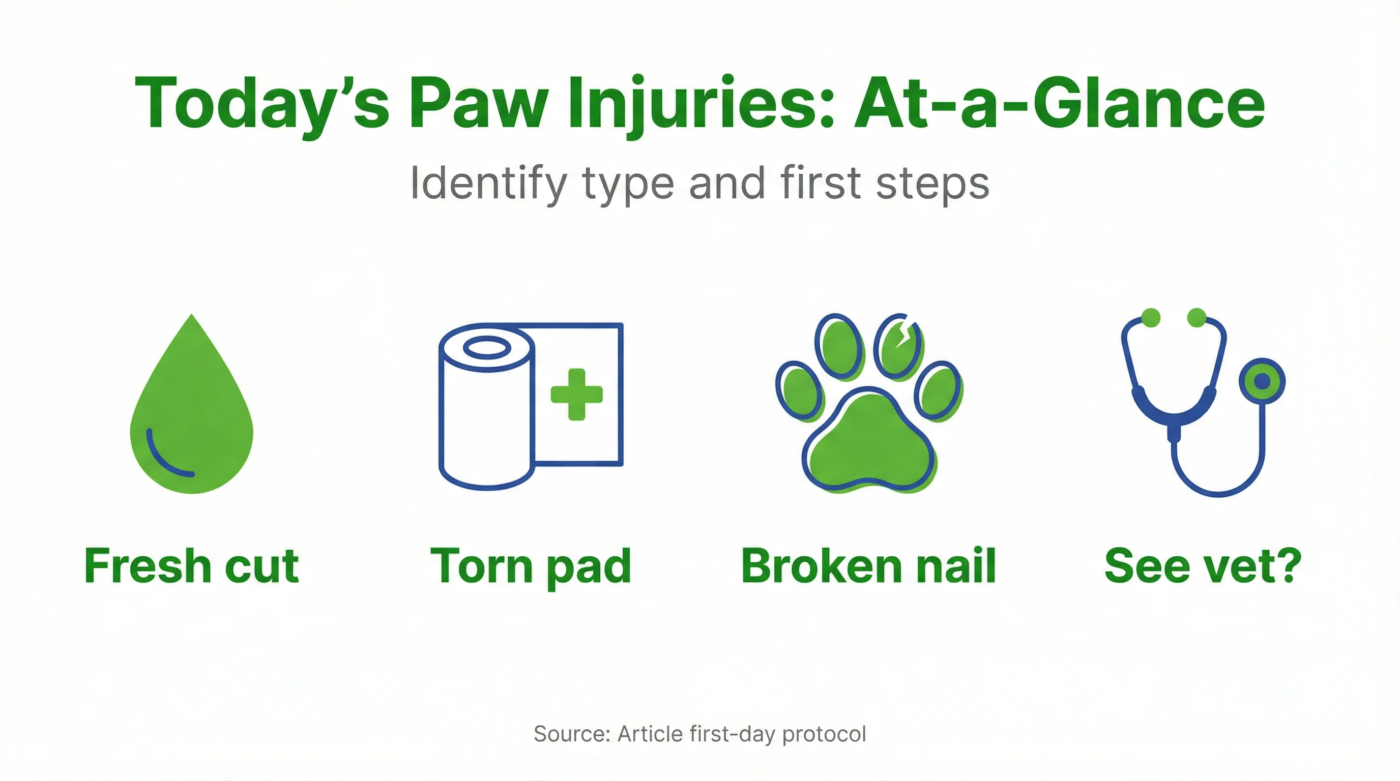Today's Paw Injuries: At‑a‑Glance