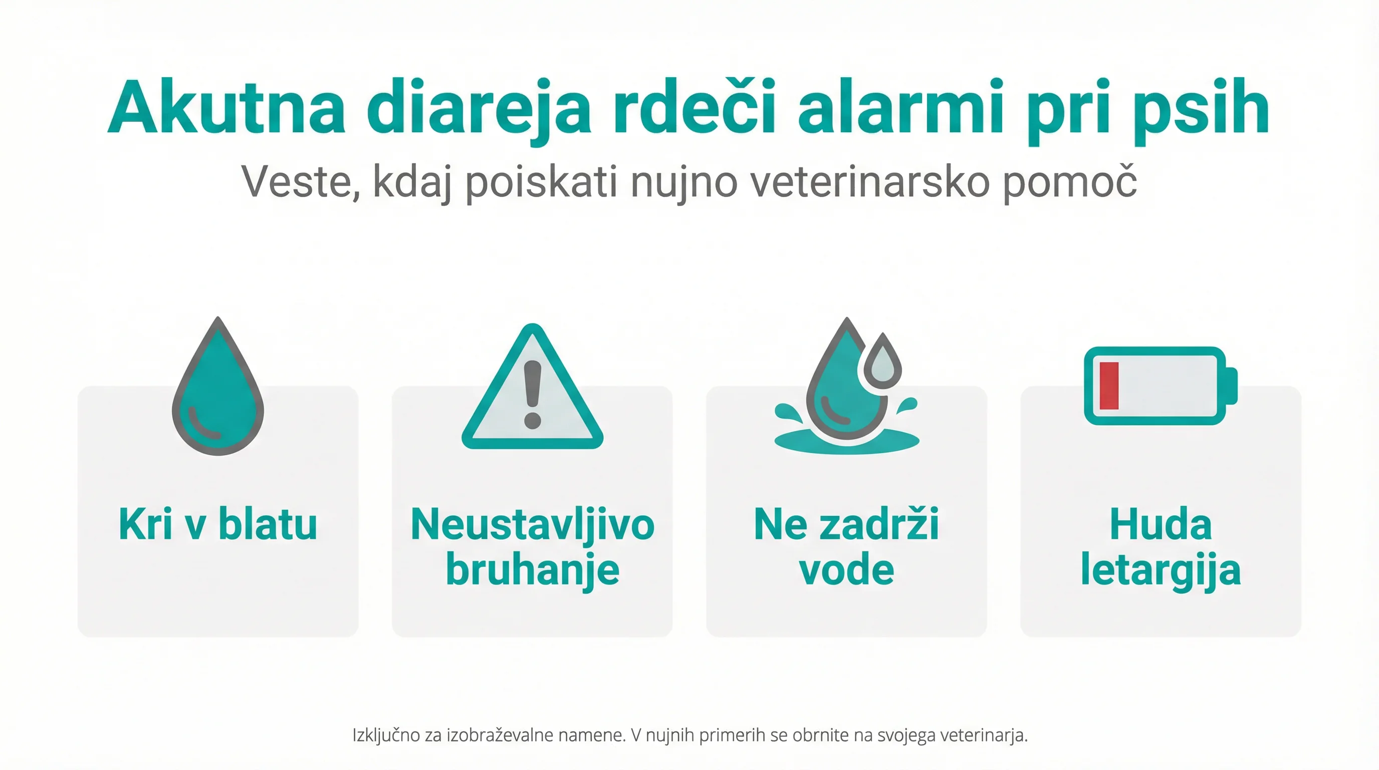 Acute Diarrhea Red Flags in Dogs