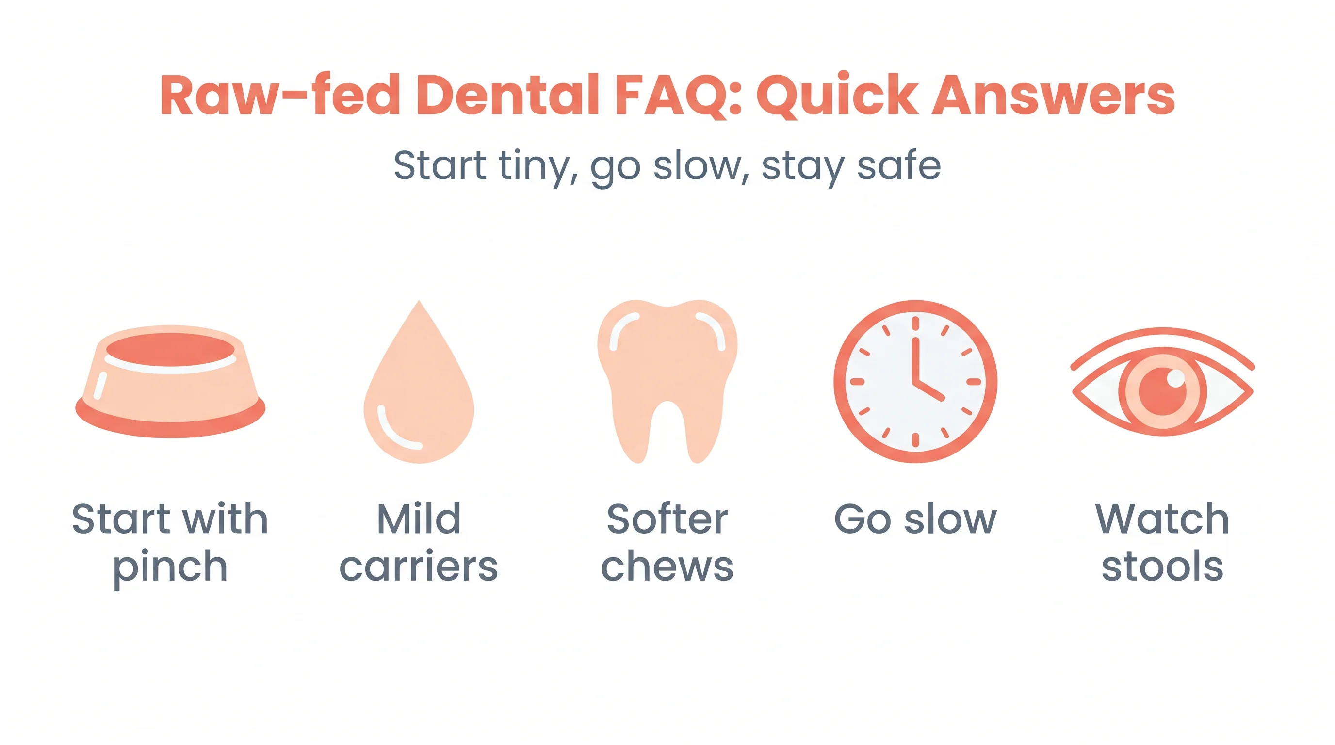 Raw-fed Dental FAQ: Quick Answers