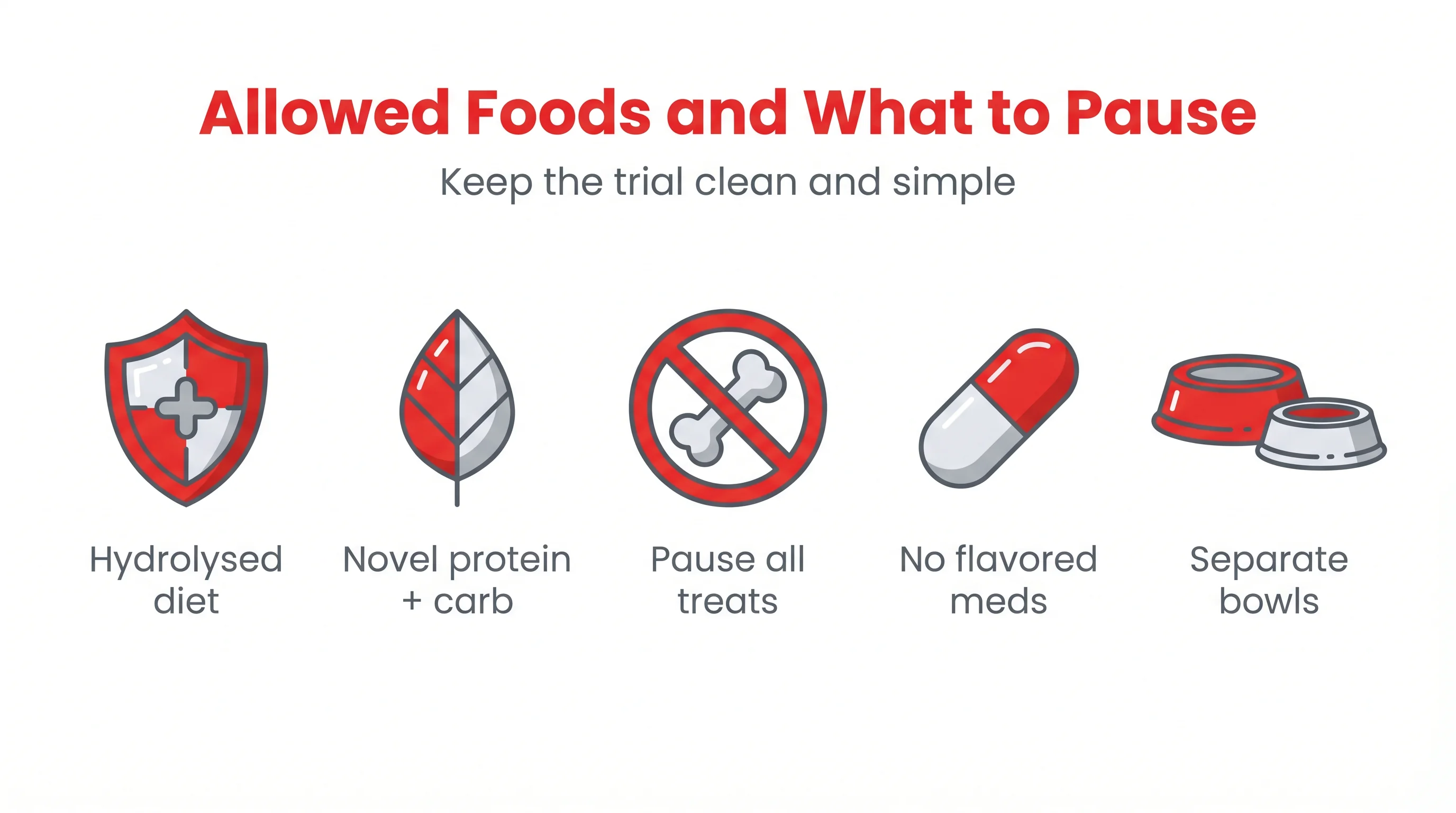 Allowed Foods and What to Pause