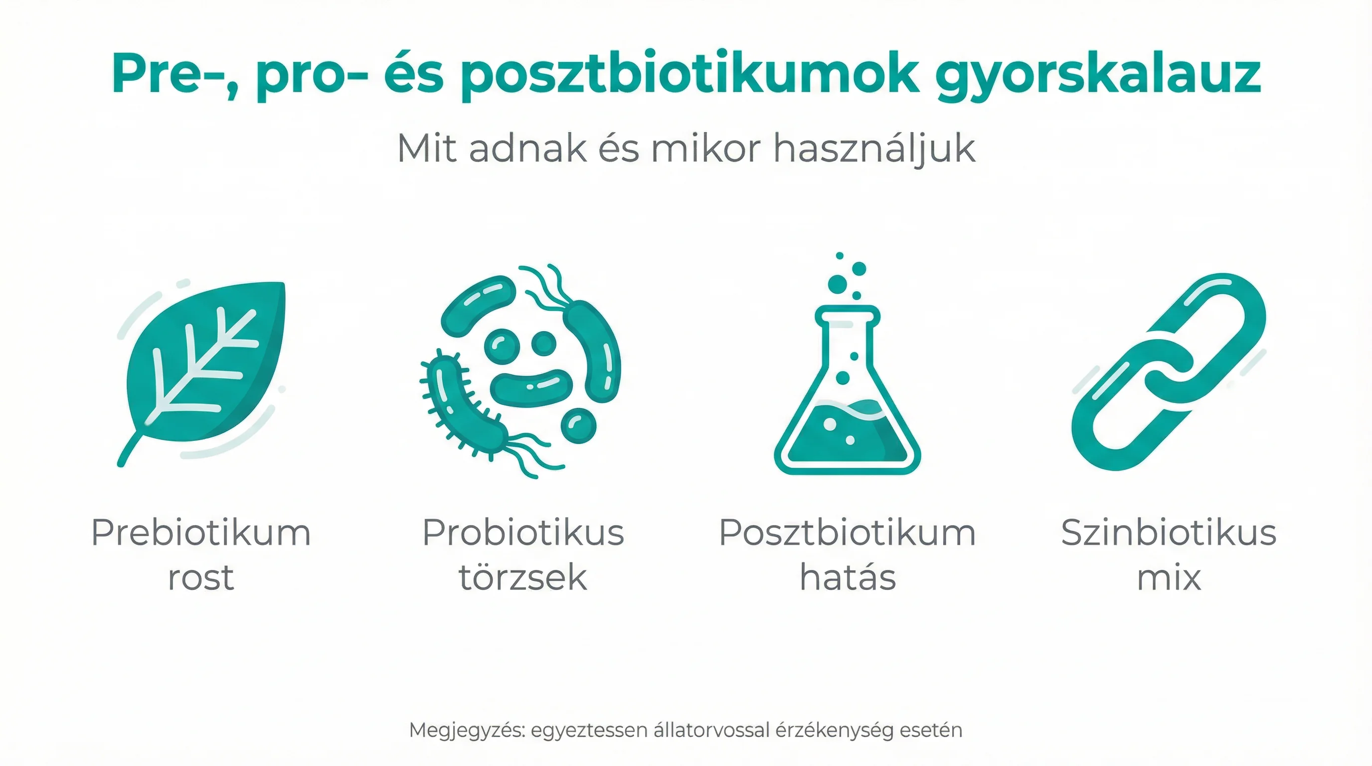 Pre‑, pro‑ és posztbiotikumok gyorskalauz