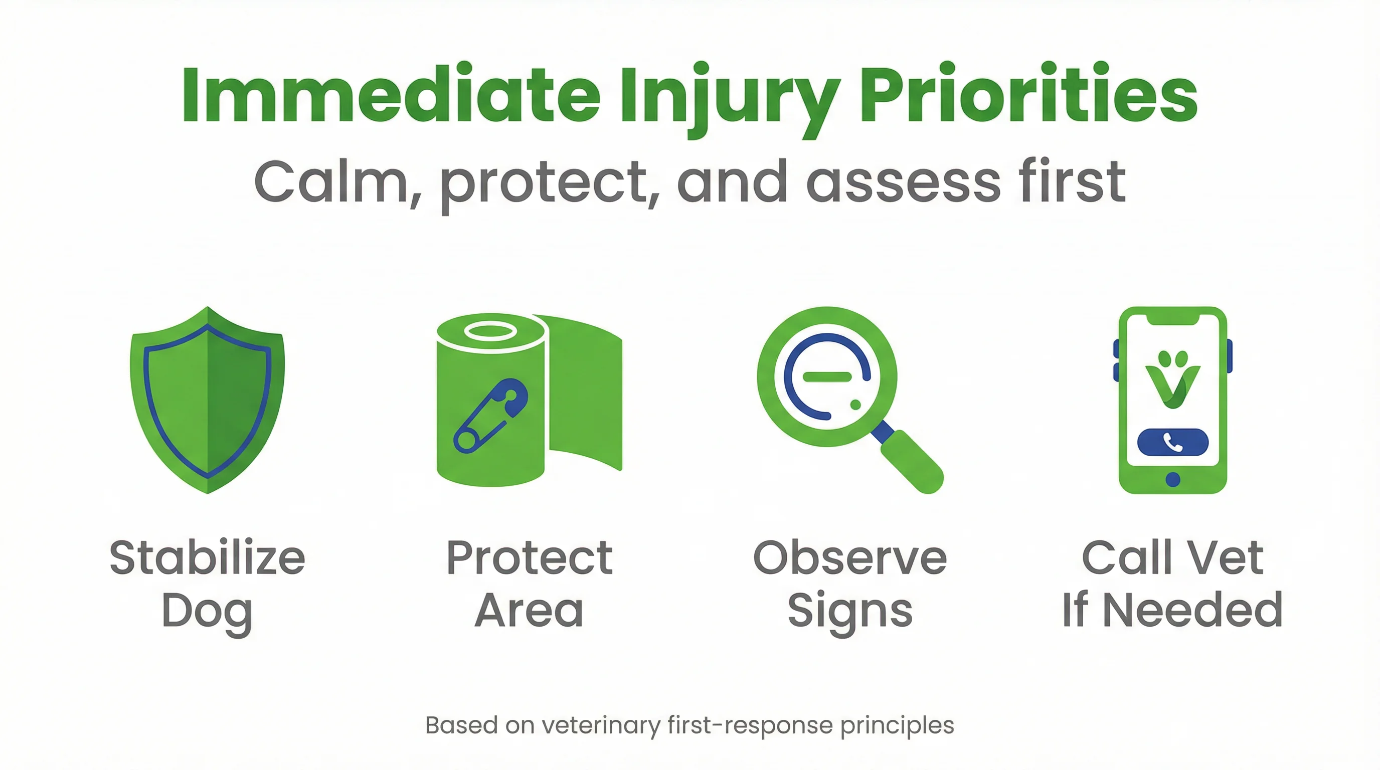 Immediate Injury Priorities
