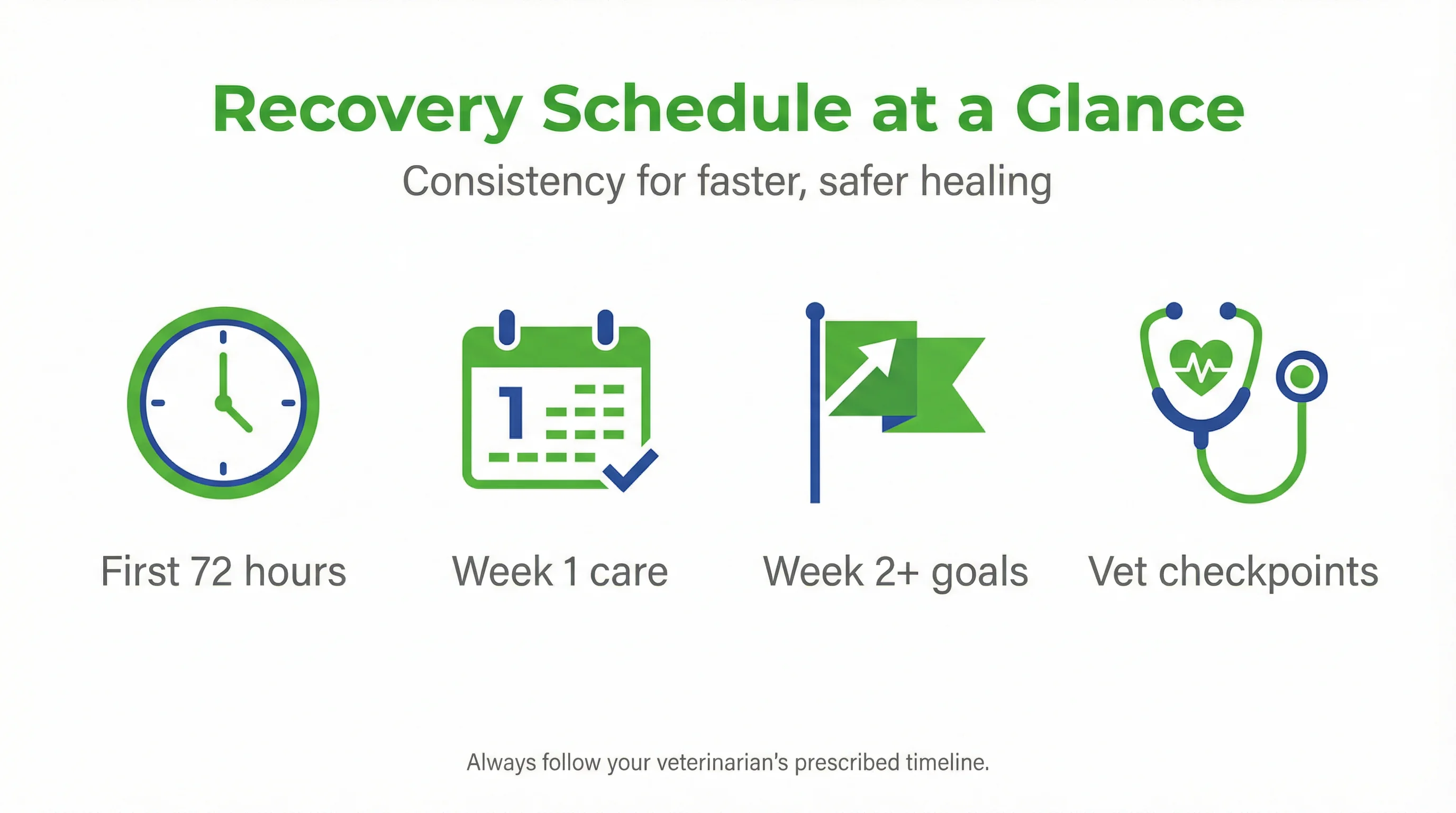 Recovery Schedule at a Glance