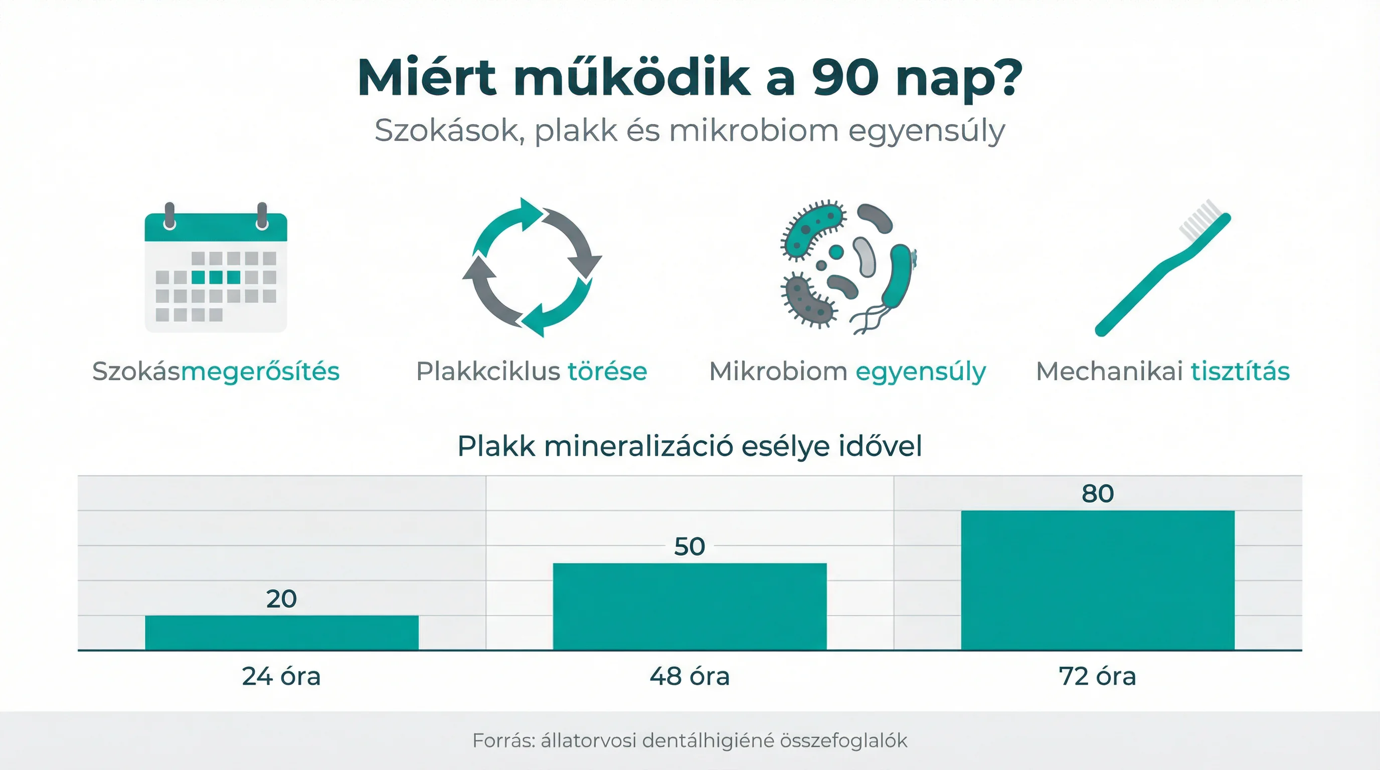 Miért működik a 90 nap?