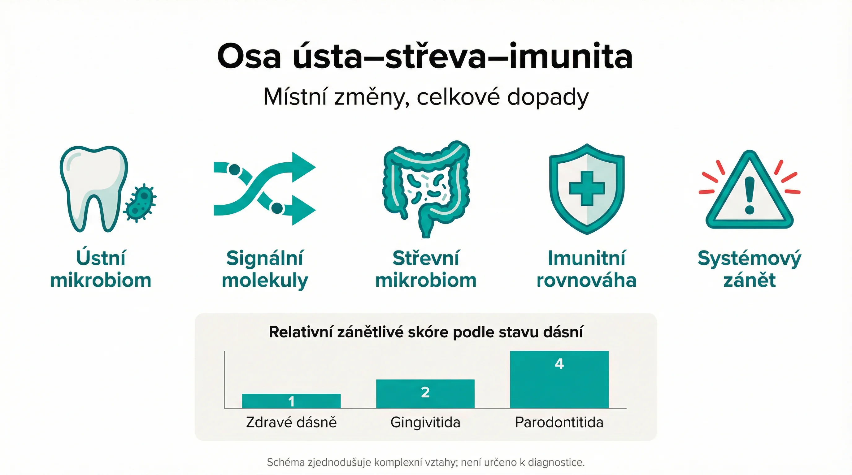 Osa ústa–střeva–imunita