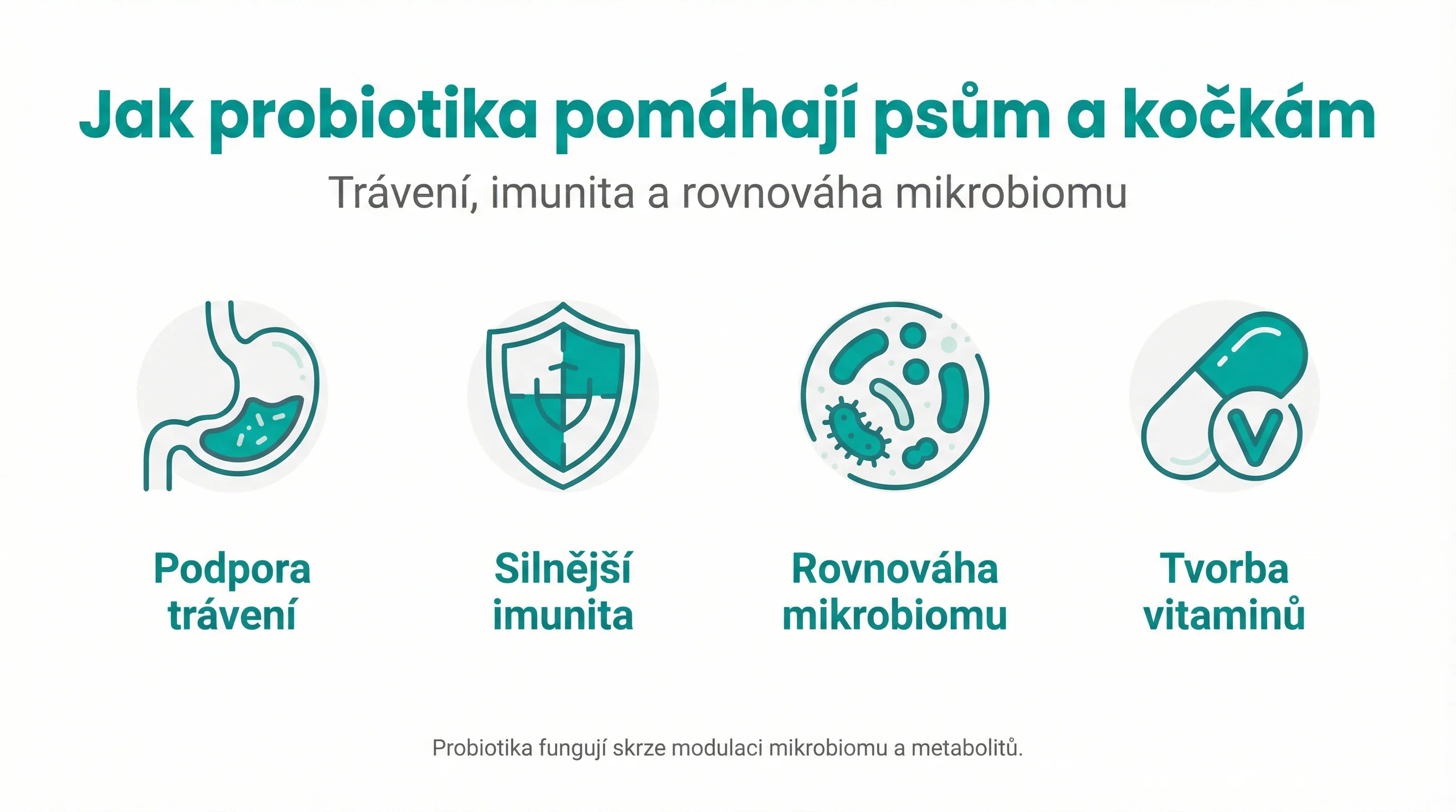 Jak probiotika pomáhají psům a kočkám