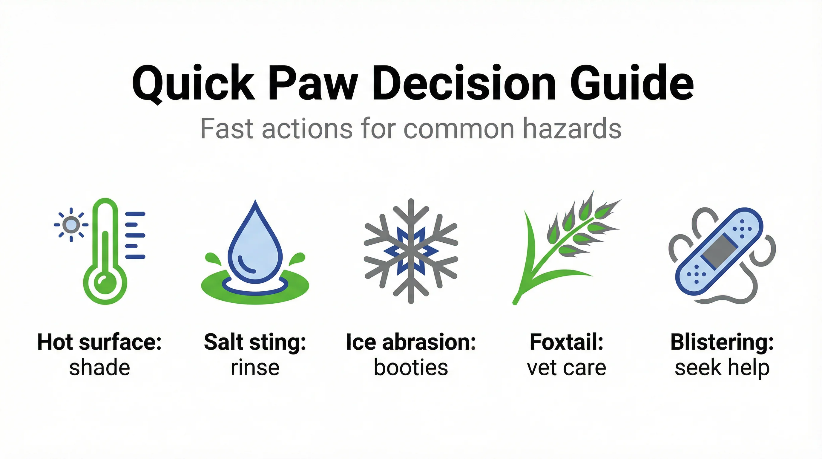 Quick Paw Decision Guide