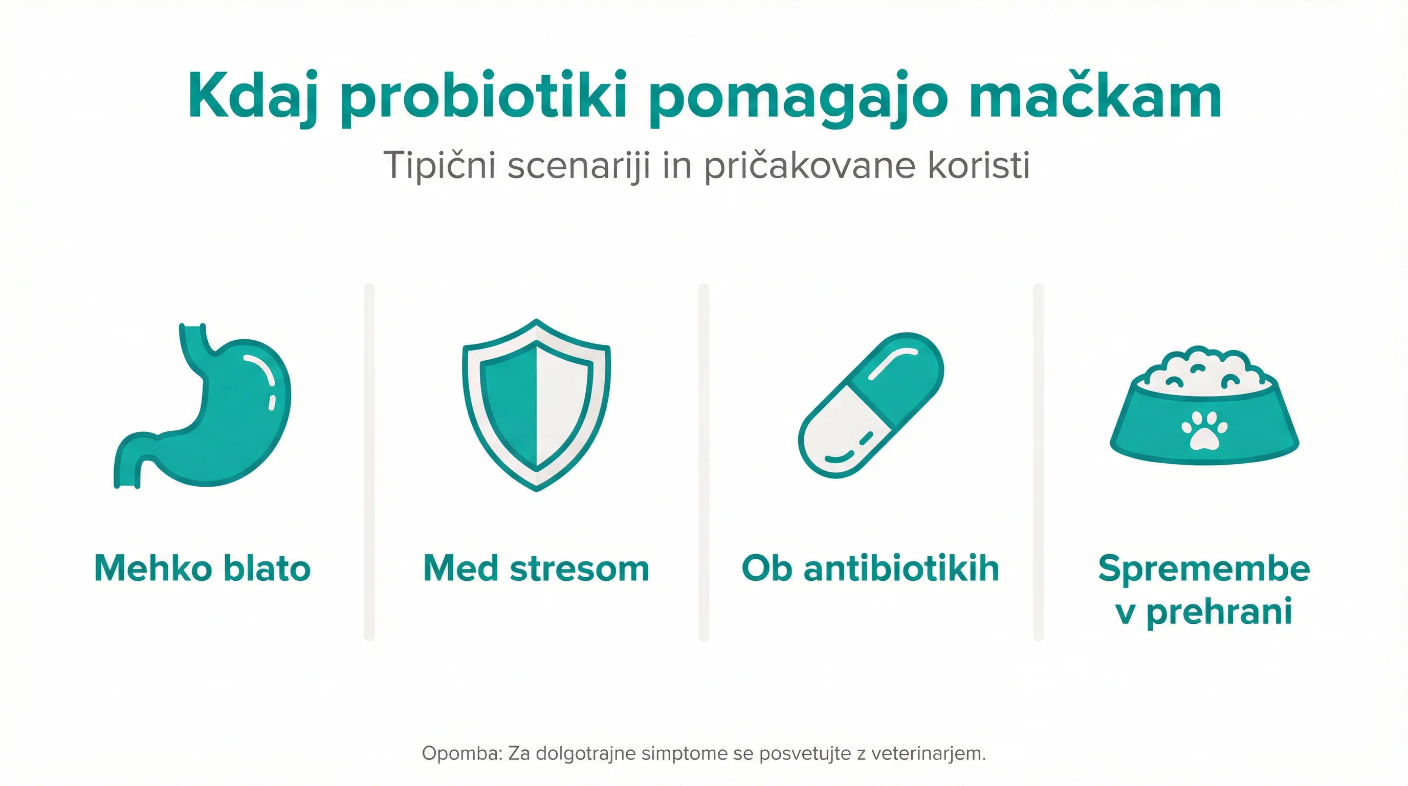 When Probiotics Help Cats