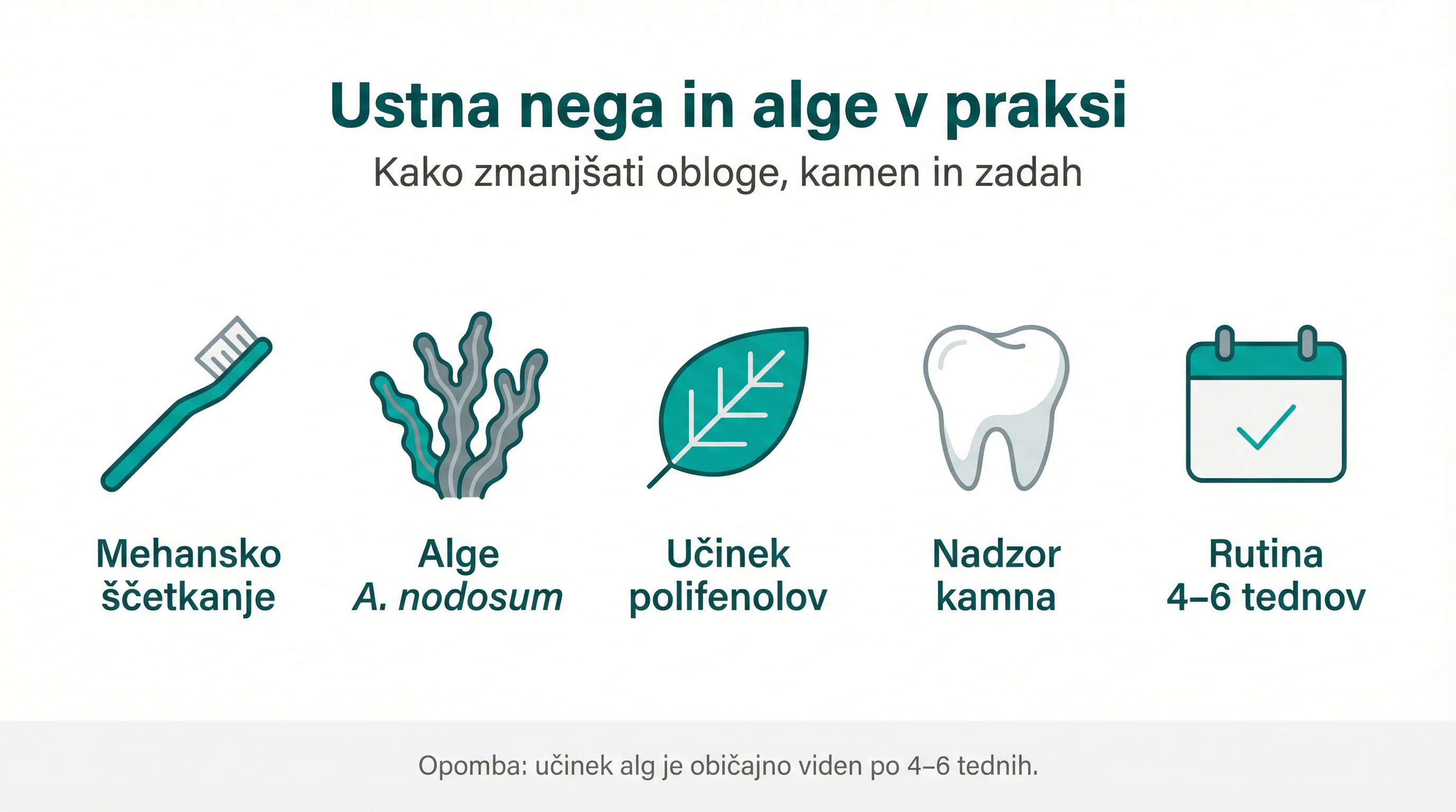 Ustna nega in alge v praksi