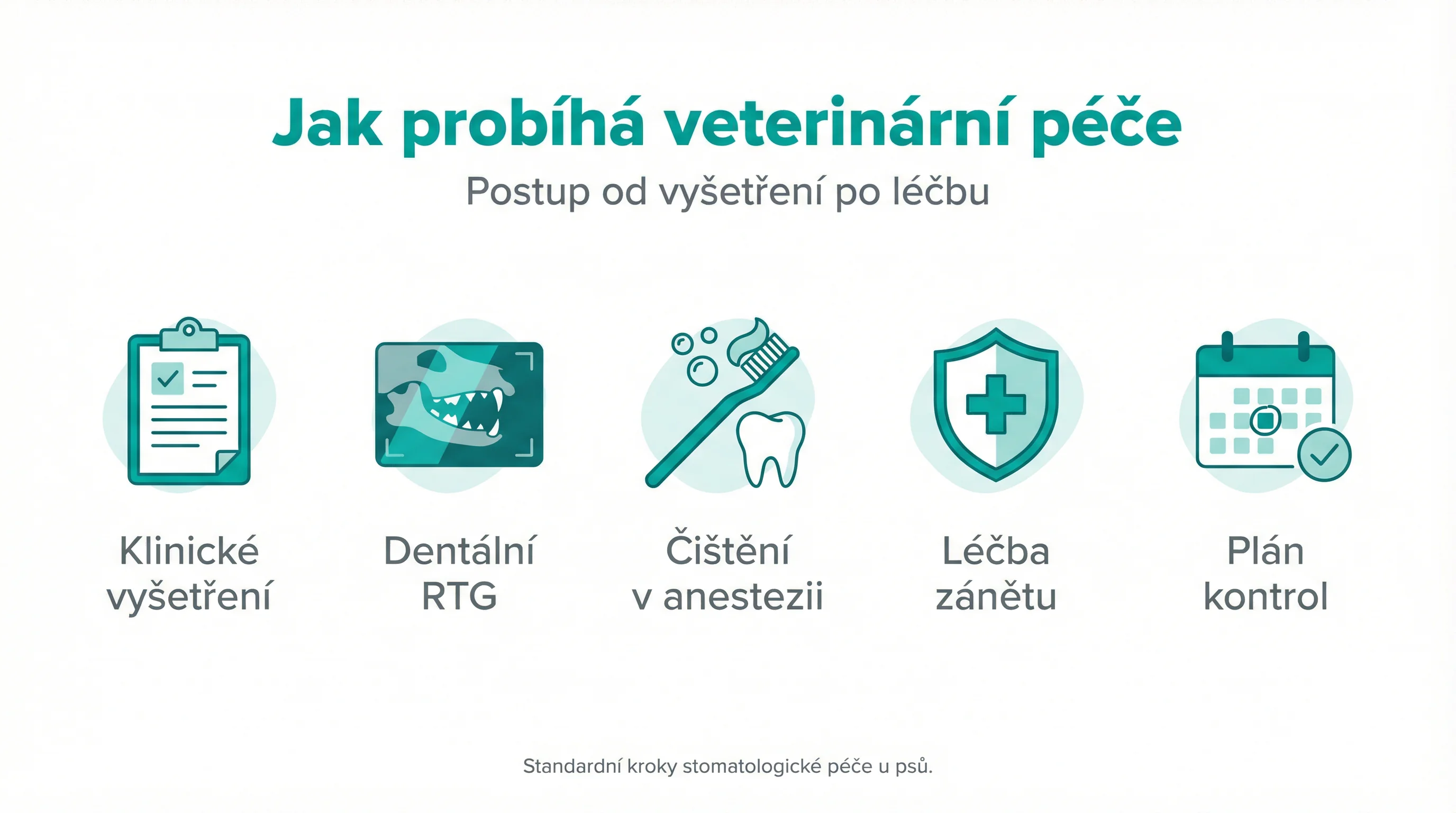 Jak probíhá veterinární péče