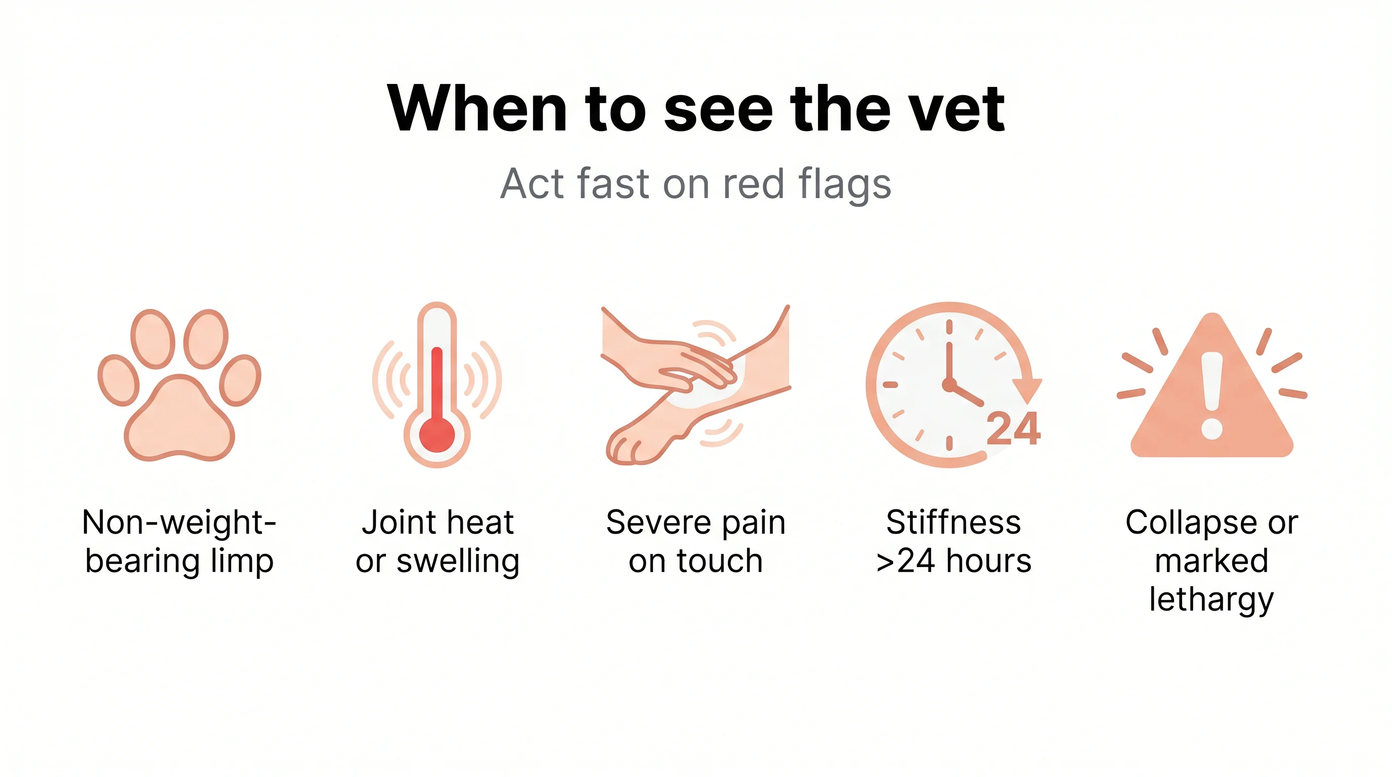 When to see the vet
