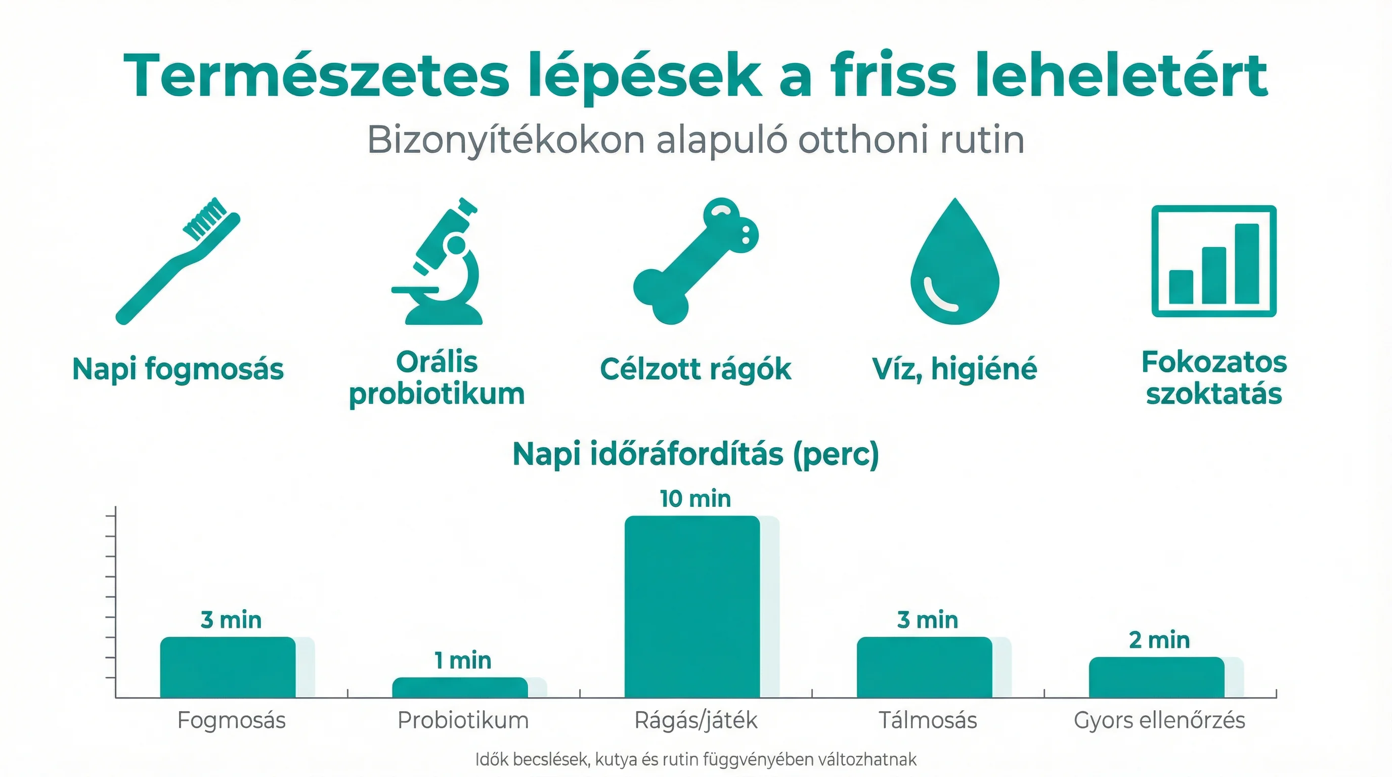 Természetes lépések a friss leheletért