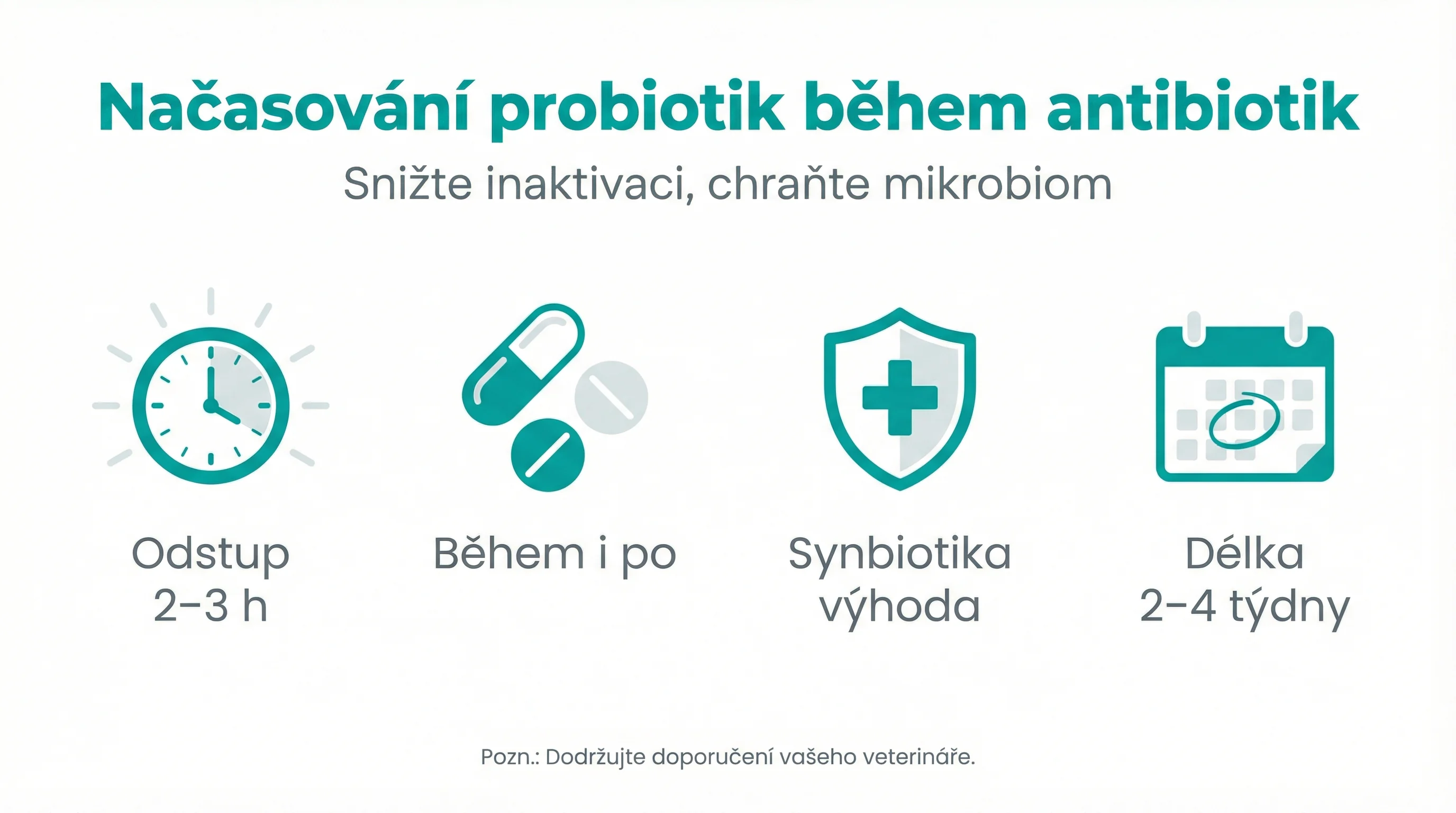 Načasování probiotik během antibiotik