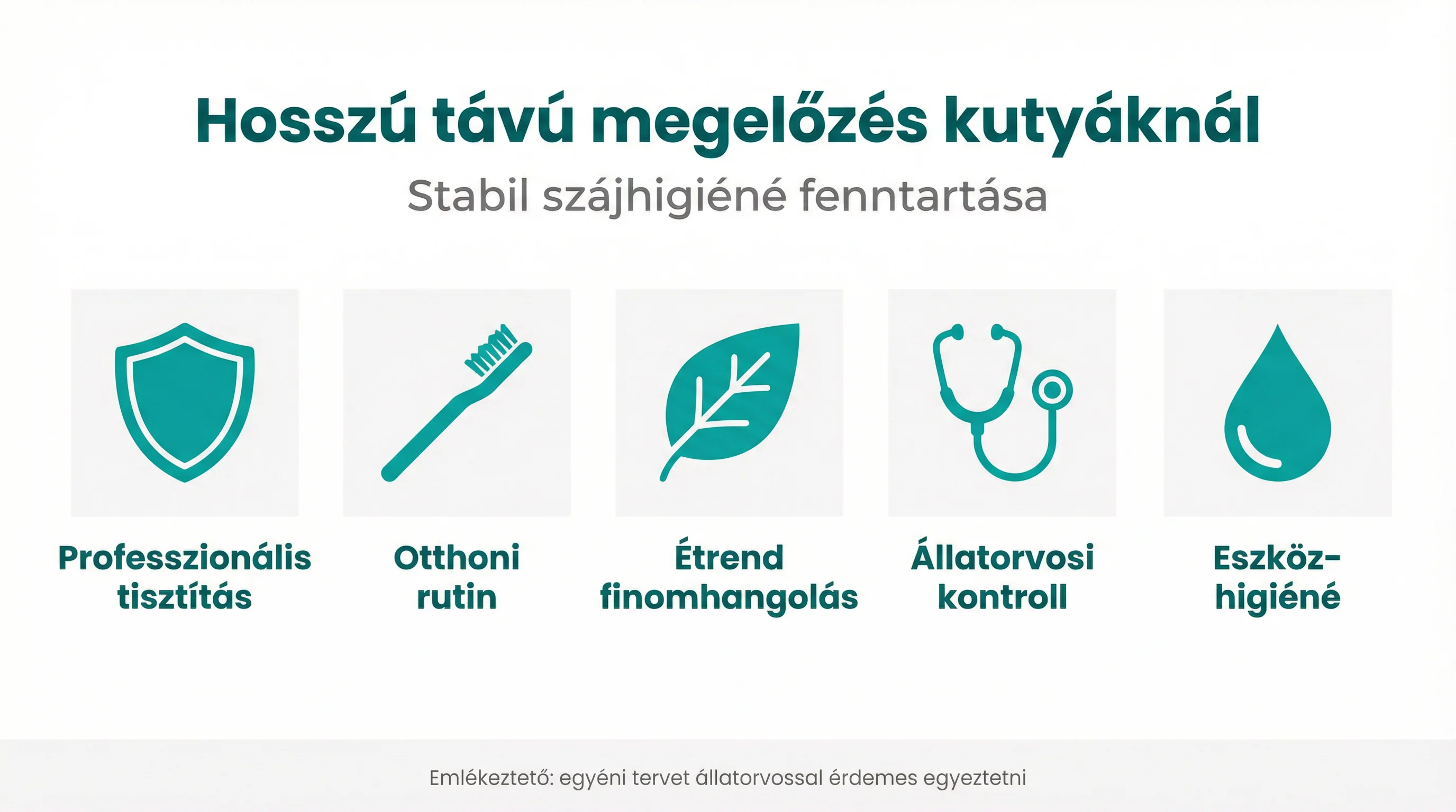 Hosszú távú megelőzés kutyáknál