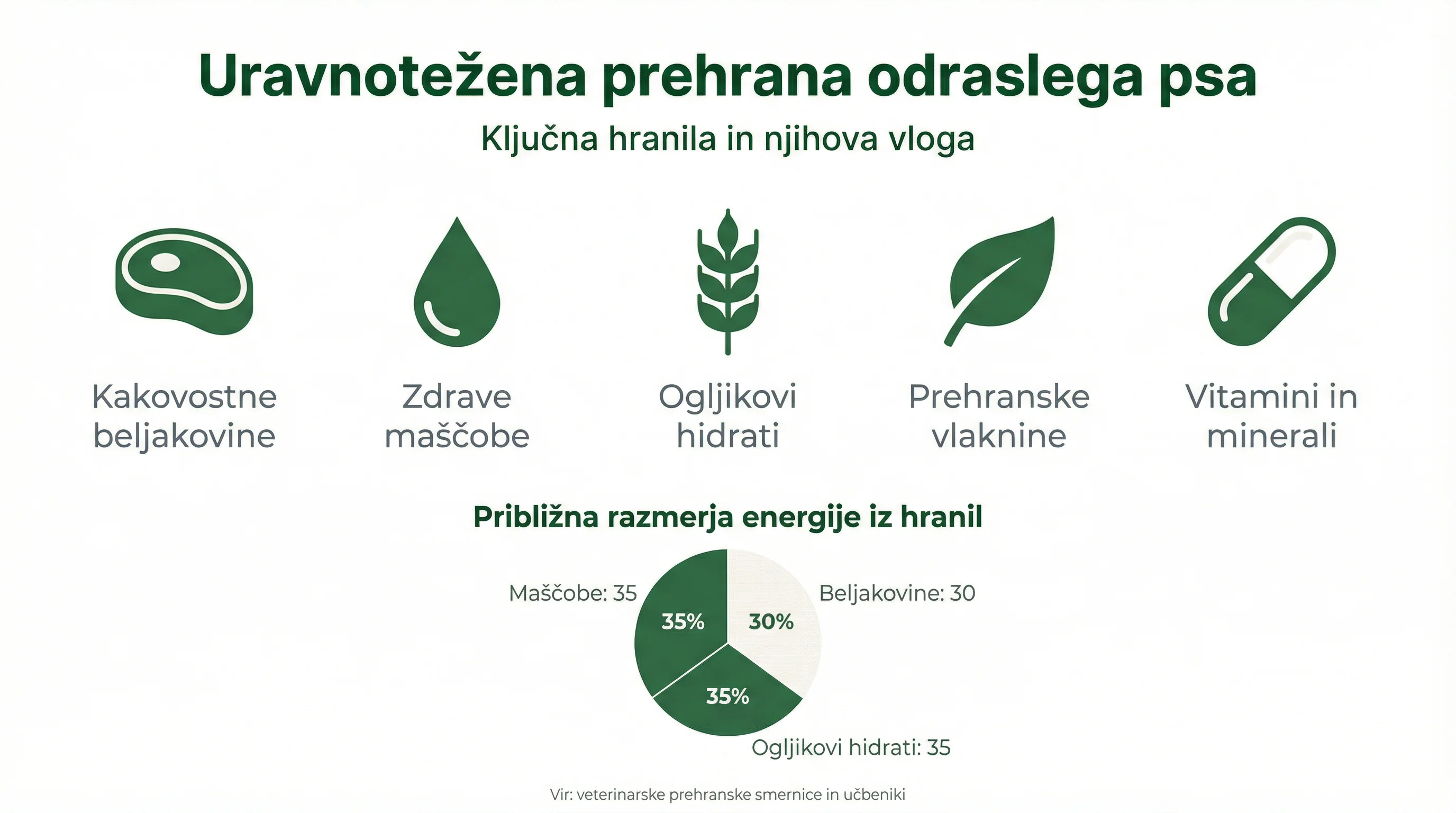 Uravnotežena prehrana odraslega psa
