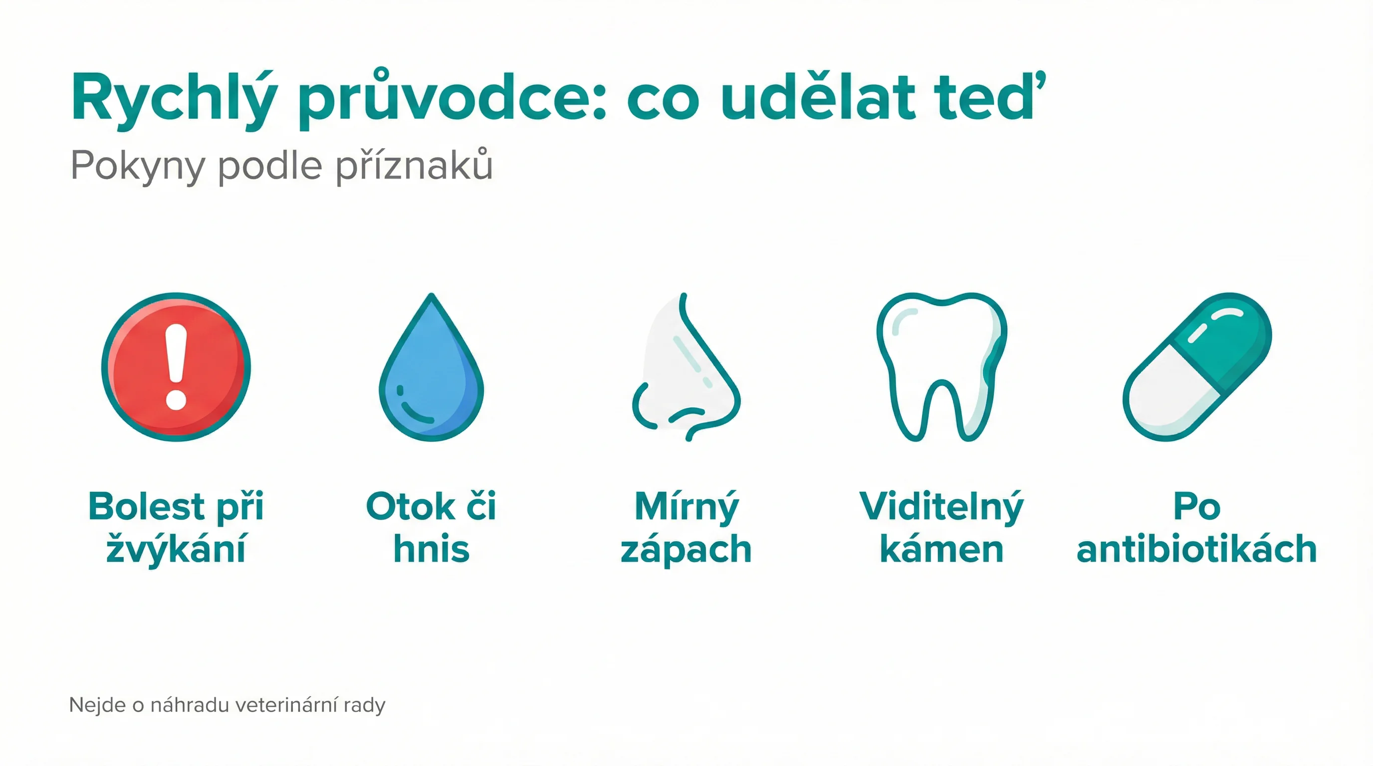 Rychlý průvodce: co udělat teď